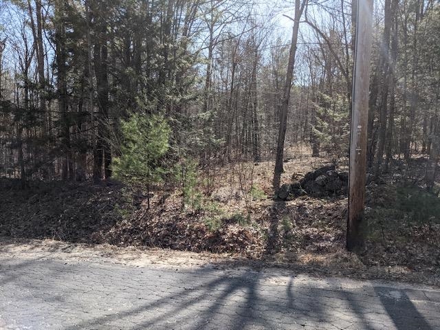 Lot 4-164 Mason Road, Unit 4 Milton, NH 03851 - Photo 9 of 12 Gallery Image 9
