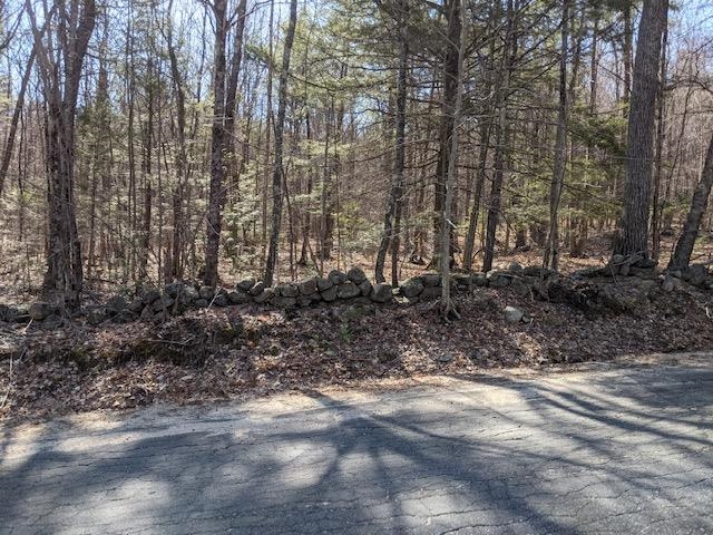 Lot 4-164 Mason Road, Unit 4 Milton, NH 03851 - Photo 10 of 12 Gallery Image 10