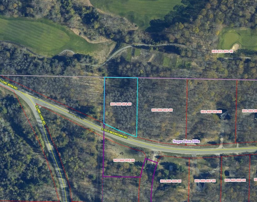 Lot 4 East Old Mountain Road, Unit LOT: 4 Cedar, MI 49621 - Photo 12 of 12