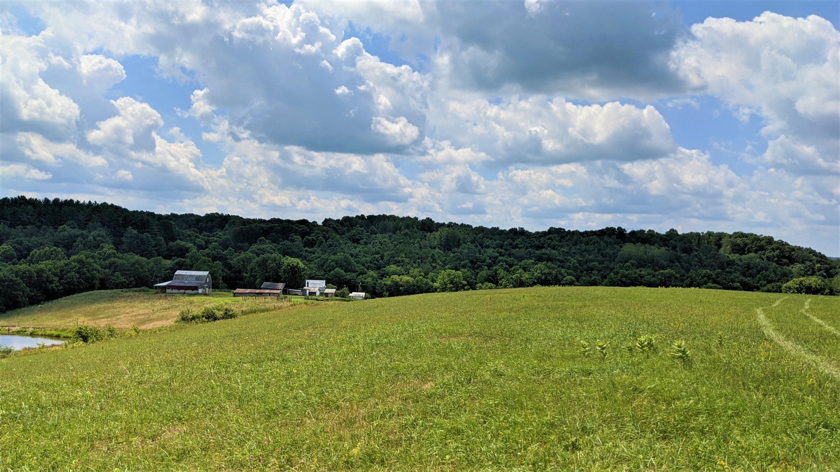 33920 Moore Road Logan, OH 43138 - Photo 19 of 65 Gallery Image 19