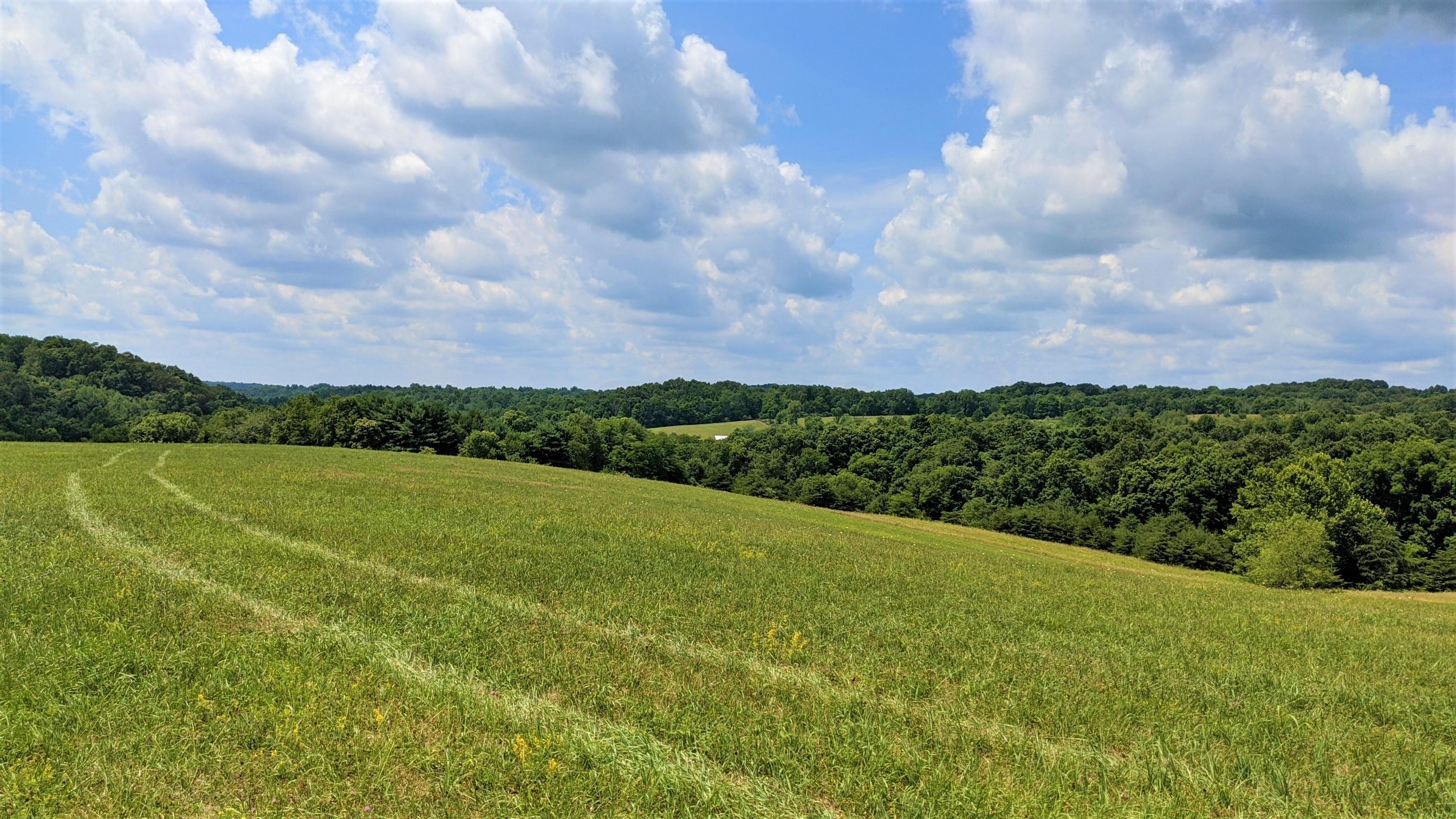 33920 Moore Road Logan, OH 43138 - Photo 20 of 65 Gallery Image 20