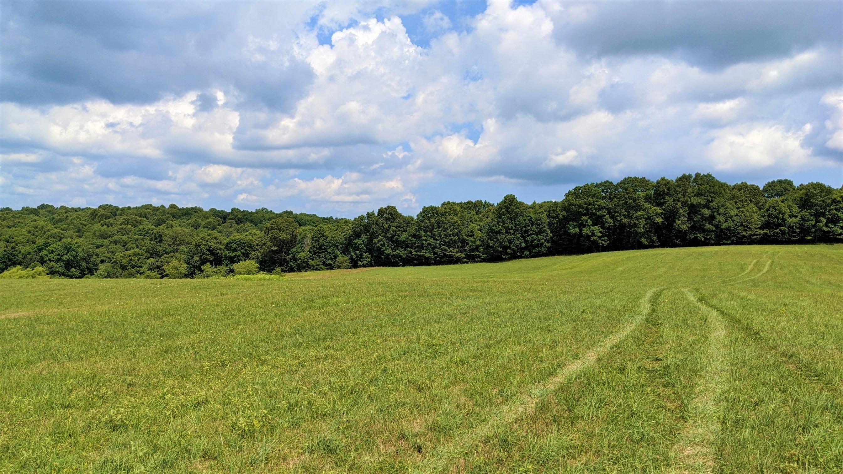 33920 Moore Road Logan, OH 43138 - Photo 22 of 65 Gallery Image 22