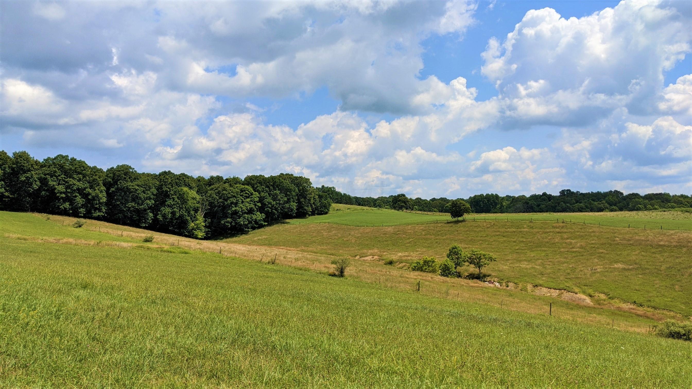 33920 Moore Road Logan, OH 43138 - Photo 25 of 65 Gallery Image 25