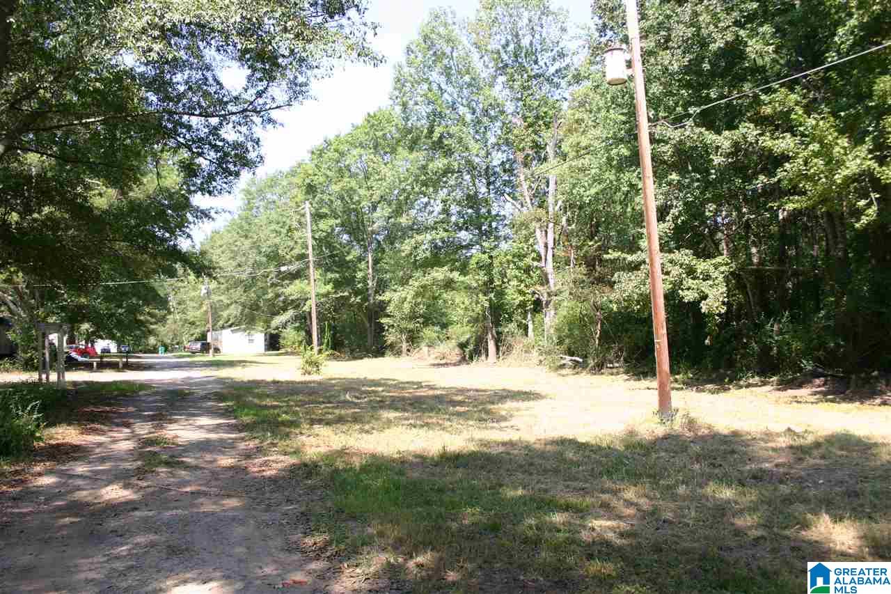 Gallman Lane Talladega, AL 35160 - Photo 5 of 19