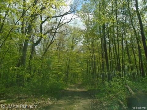 8070 Silver Lake Road Linden, MI 48451 - Photo 23 of 25 Gallery Image 23