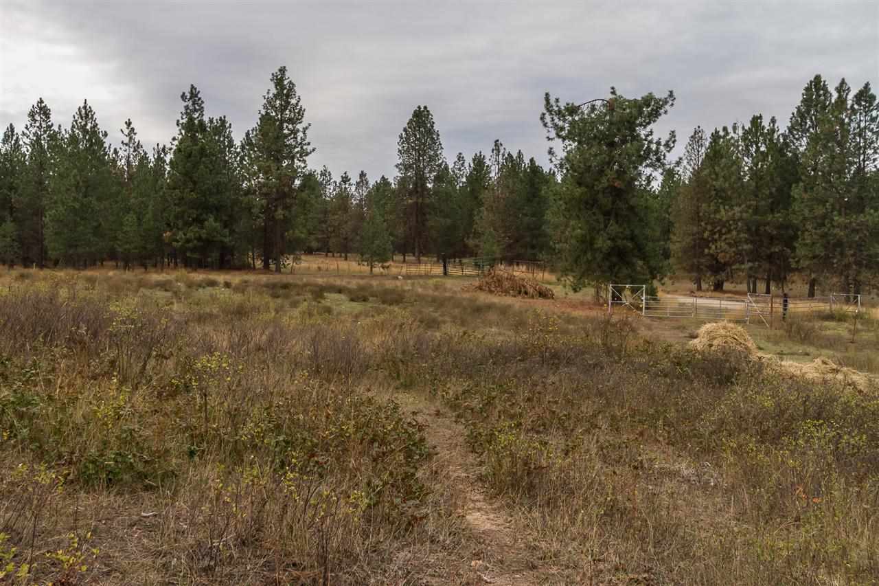 4-x11 Flyckt Road Chewelah, WA 99109 - Photo 2 of 12 Gallery Image 2