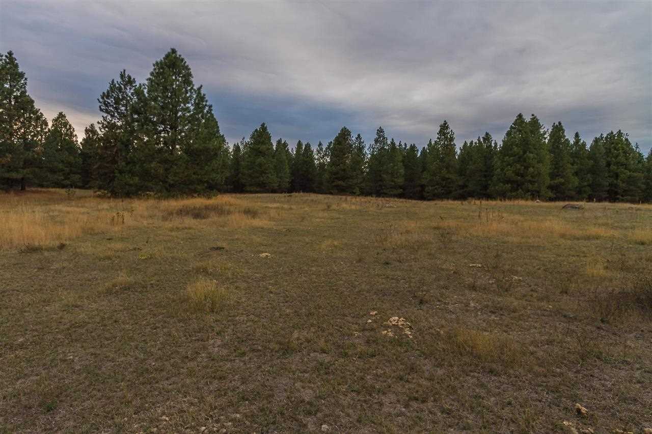 4-x11 Flyckt Road Chewelah, WA 99109 - Photo 11 of 12 Gallery Image 11
