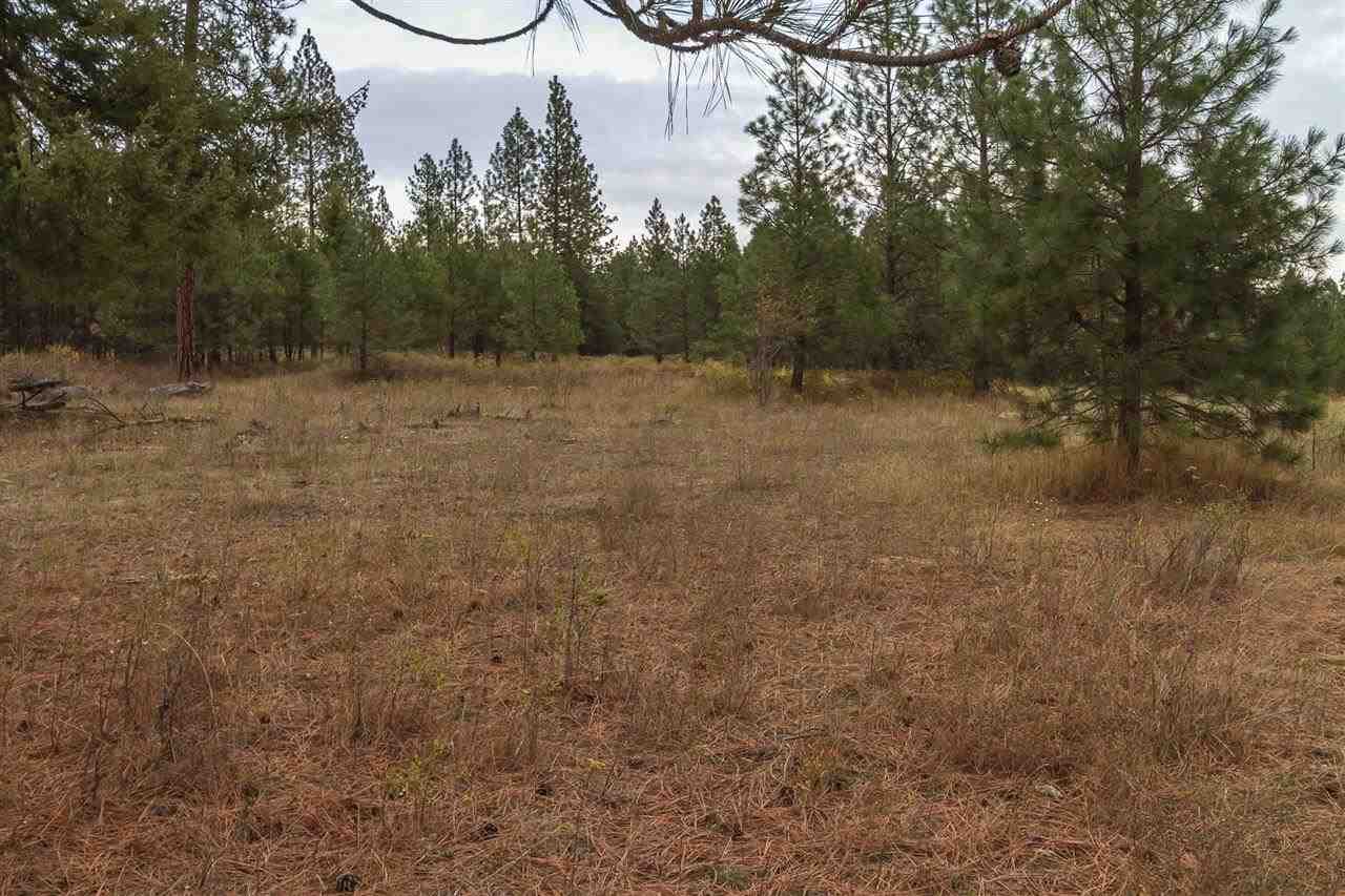 4-x11 Flyckt Road Chewelah, WA 99109 - Photo 3 of 12 Gallery Image 3