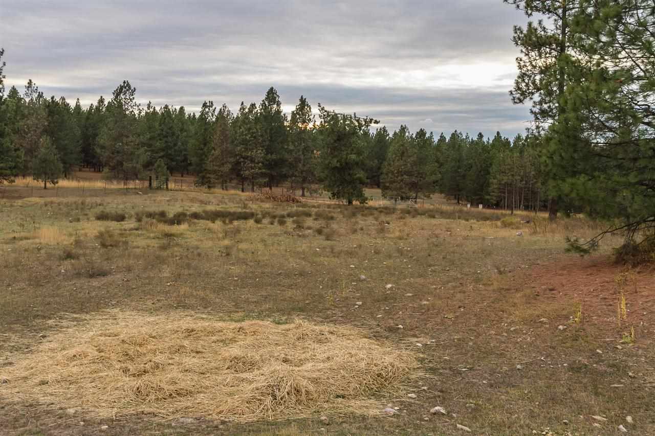 4-x11 Flyckt Road Chewelah, WA 99109 - Photo 4 of 12 Gallery Image 4