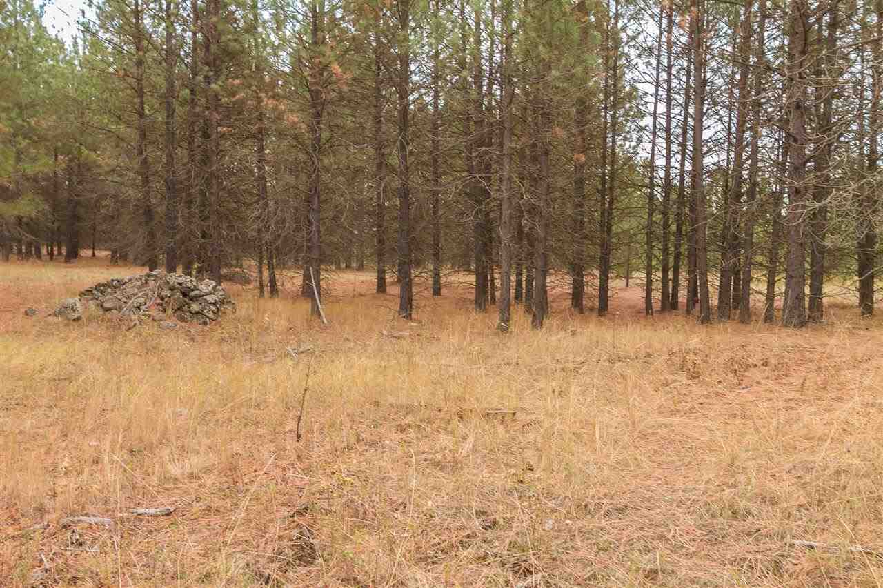 4-x11 Flyckt Road Chewelah, WA 99109 - Photo 7 of 12 Gallery Image 7