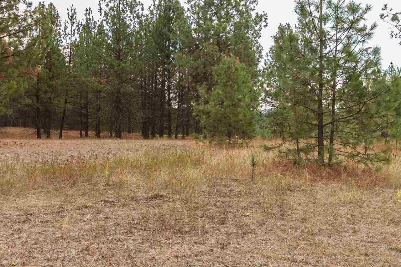 4-x11 Flyckt Road Chewelah, WA 99109 - Photo 8 of 12 Gallery Image 8