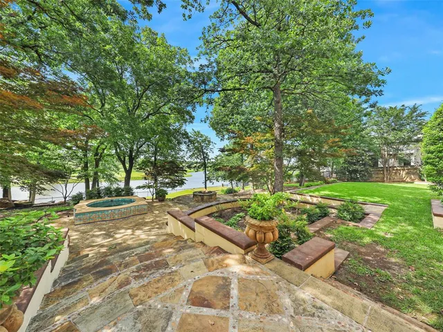 a view of a yard with plants and trees