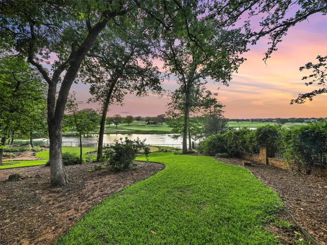 a view of a park with large trees