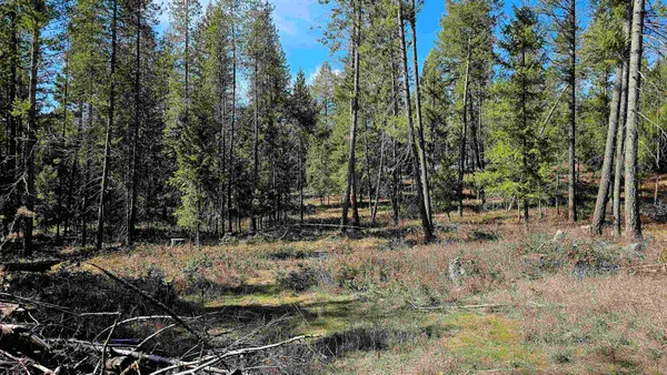 $380,000 | 2068 Addy-Gifford Road, Addy, WA 99101