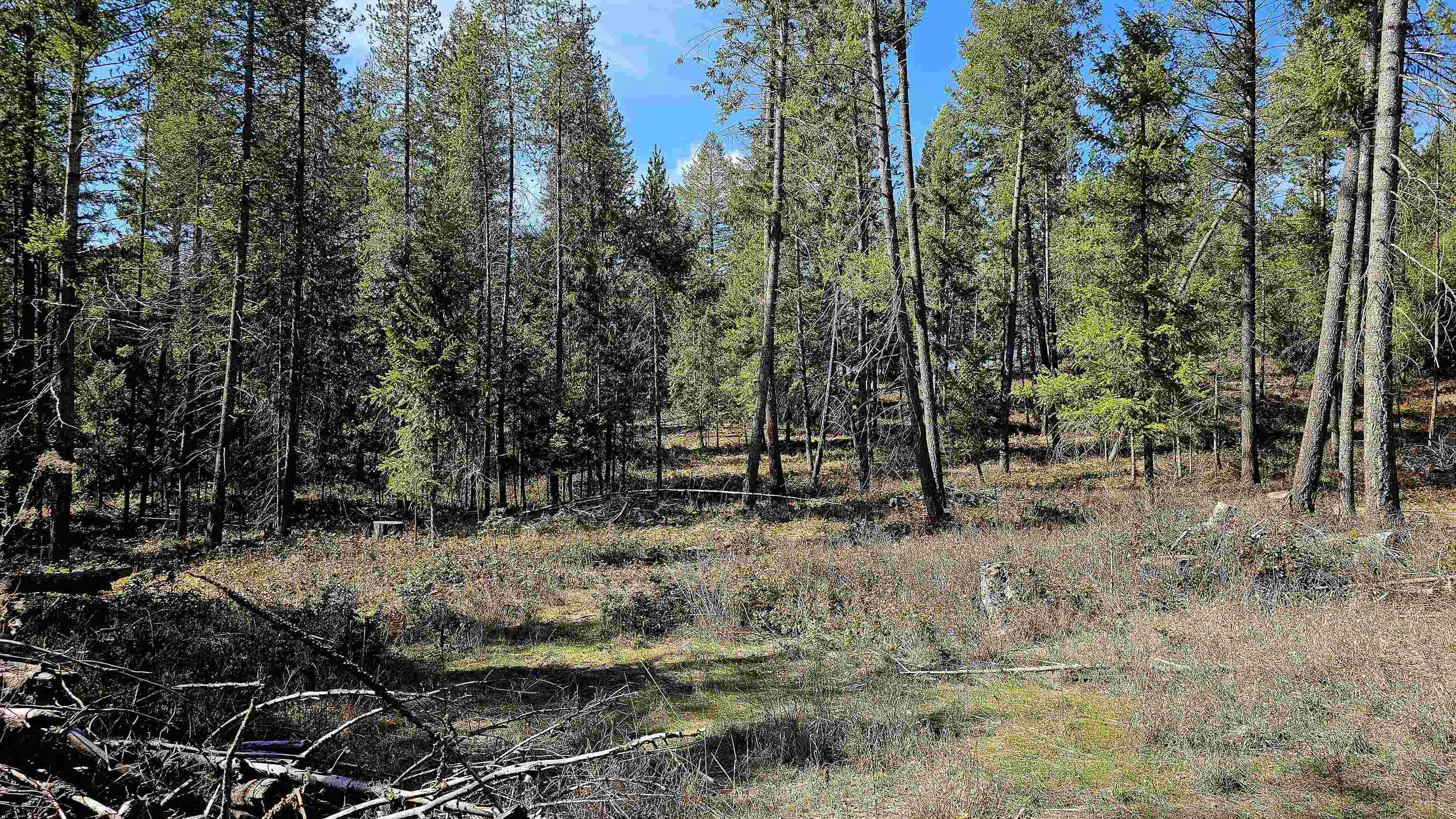 2068 Addy-Gifford Road Addy, WA 99101 - Photo 11 of 50