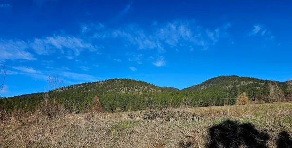 $380,000 | 2068 Addy-Gifford Road, Addy, WA 99101