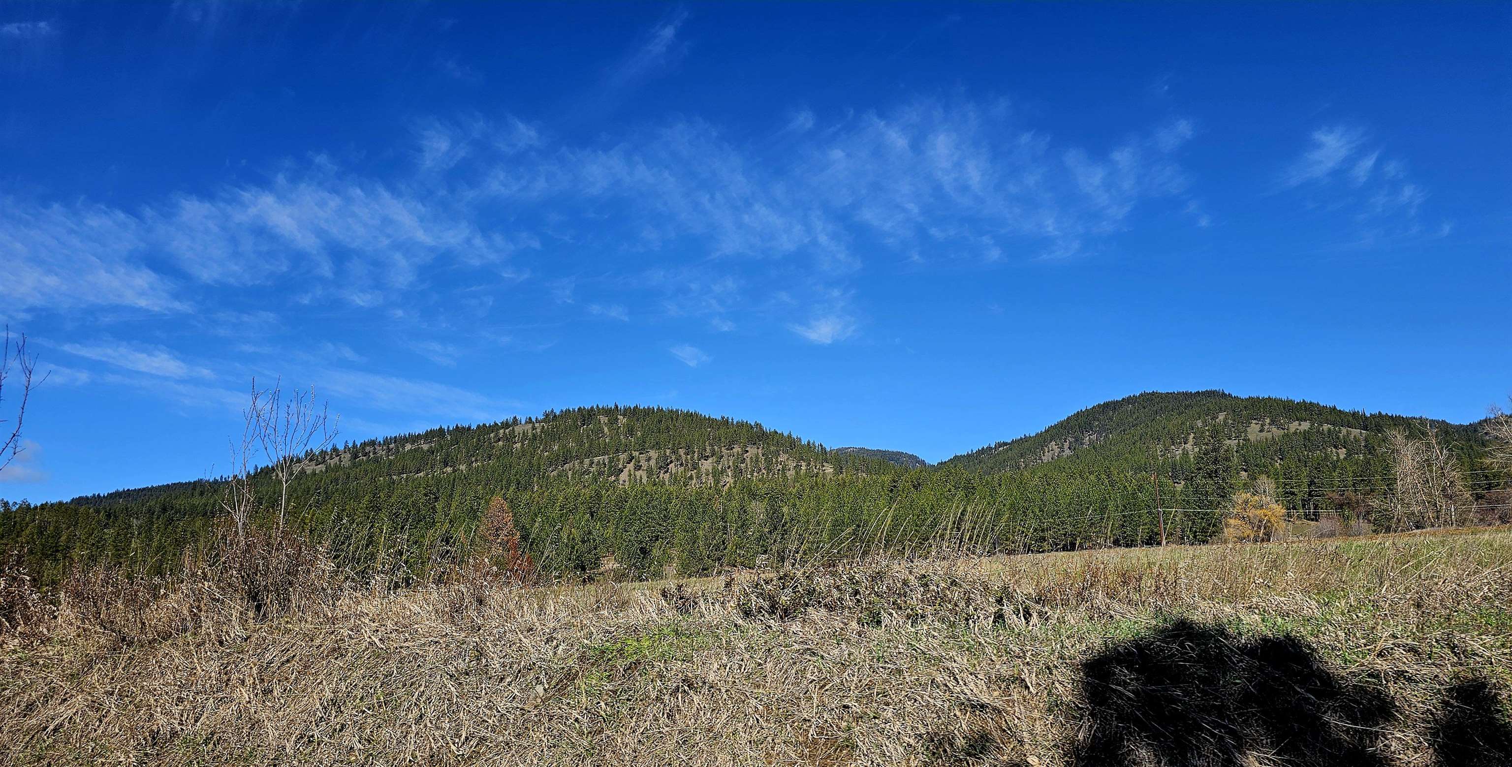 2068 Addy-Gifford Road Addy, WA 99101 - Photo 12 of 50