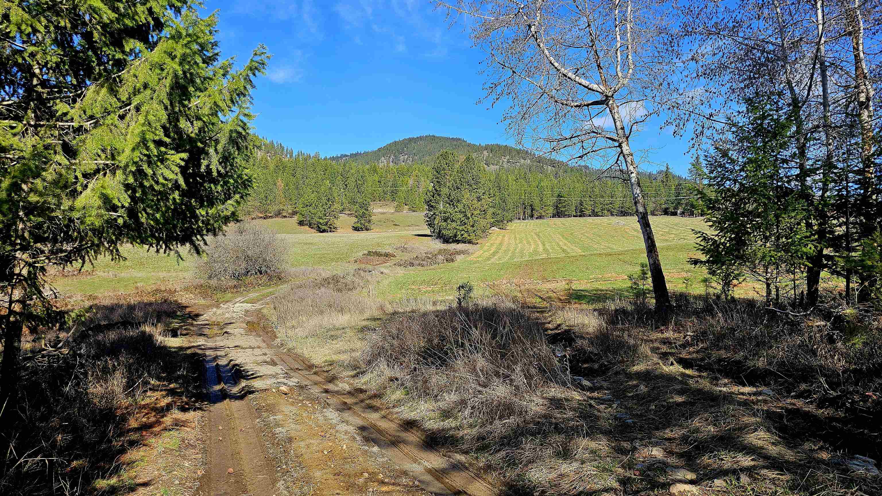 2068 Addy-Gifford Road Addy, WA 99101 - Photo 13 of 50