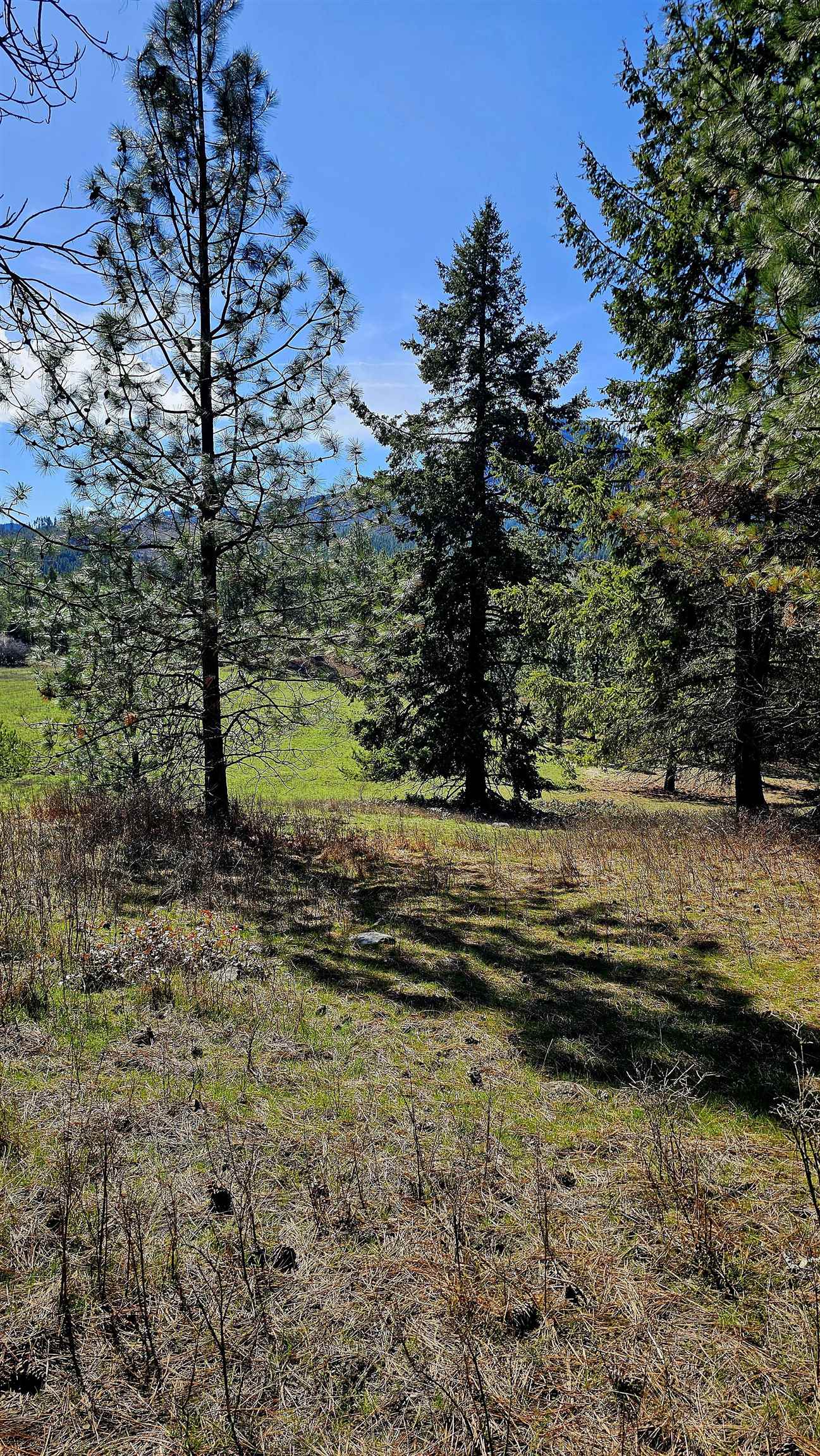 2068 Addy-Gifford Road Addy, WA 99101 - Photo 15 of 50