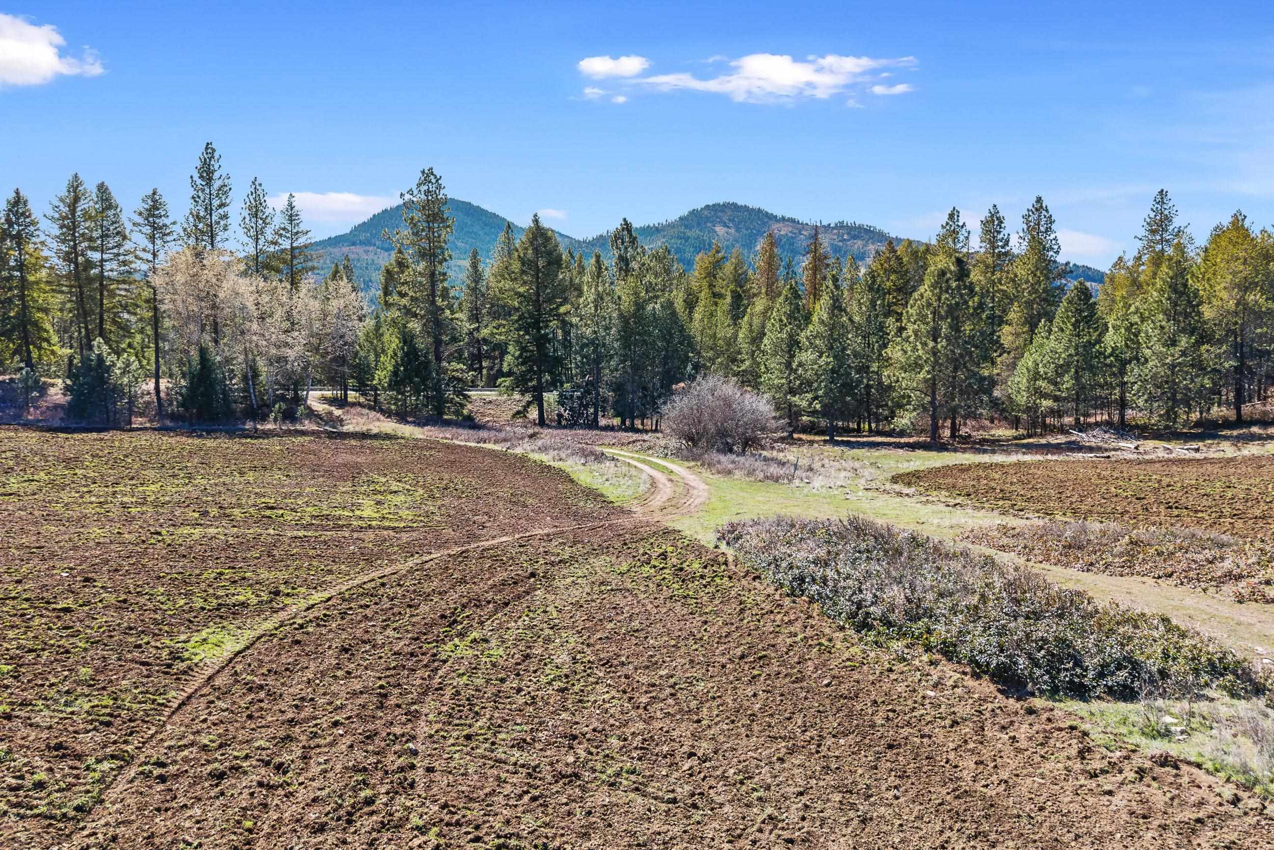 2068 Addy-Gifford Road Addy, WA 99101 - Photo 27 of 50