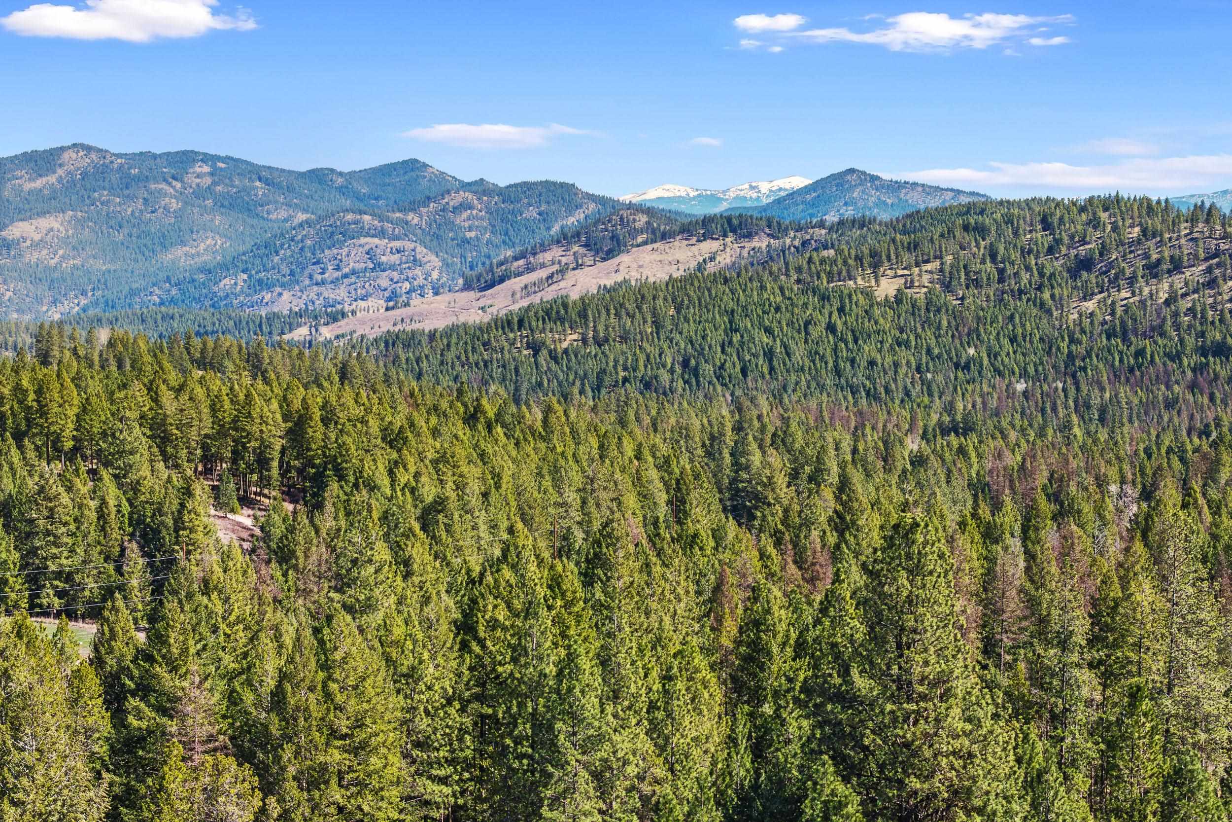 2068 Addy-Gifford Road Addy, WA 99101 - Photo 28 of 50