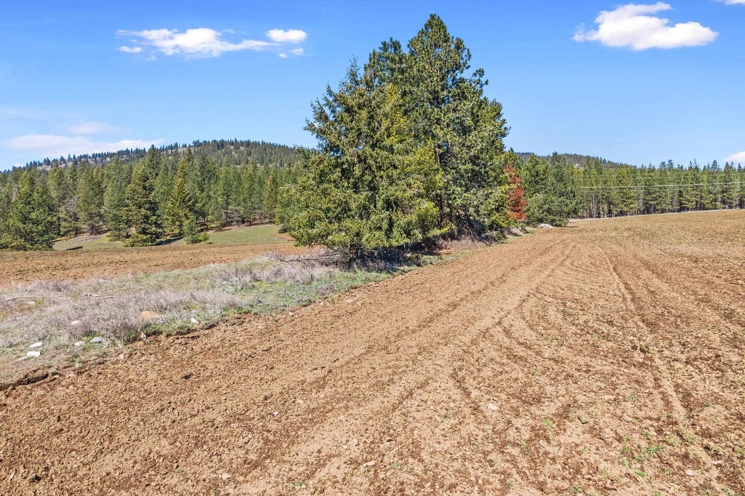 2068 Addy-Gifford Road Addy, WA 99101 - Photo 29 of 50