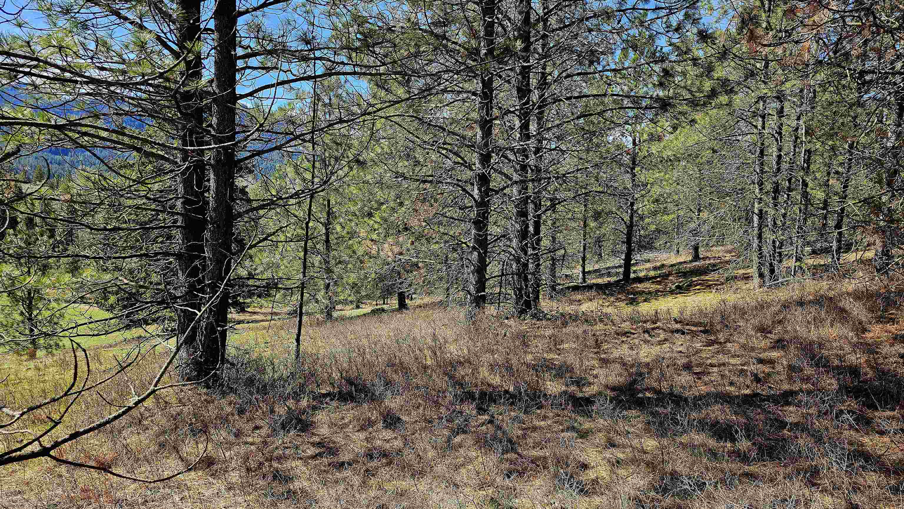 2068 Addy-Gifford Road Addy, WA 99101 - Photo 3 of 50