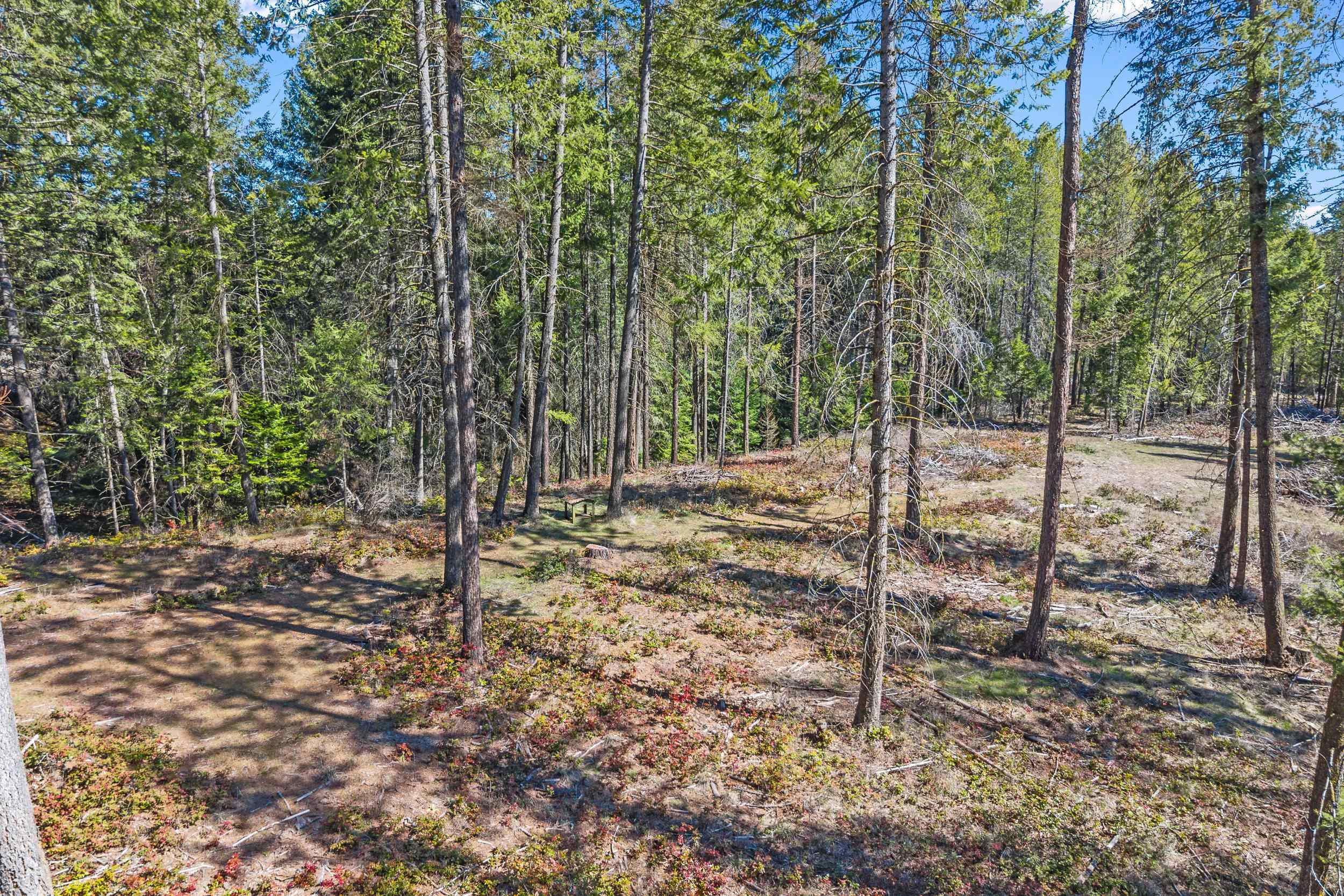 2068 Addy-Gifford Road Addy, WA 99101 - Photo 34 of 50