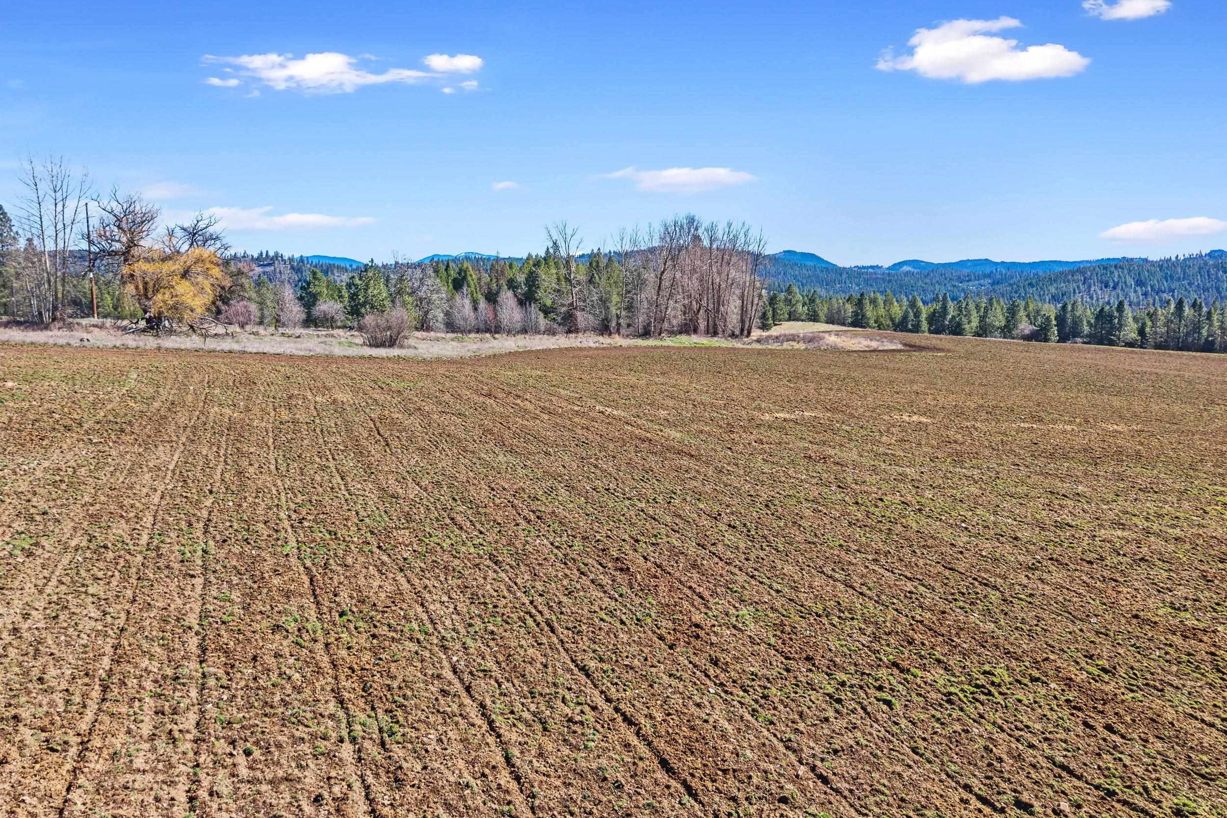 2068 Addy-Gifford Road Addy, WA 99101 - Photo 35 of 50