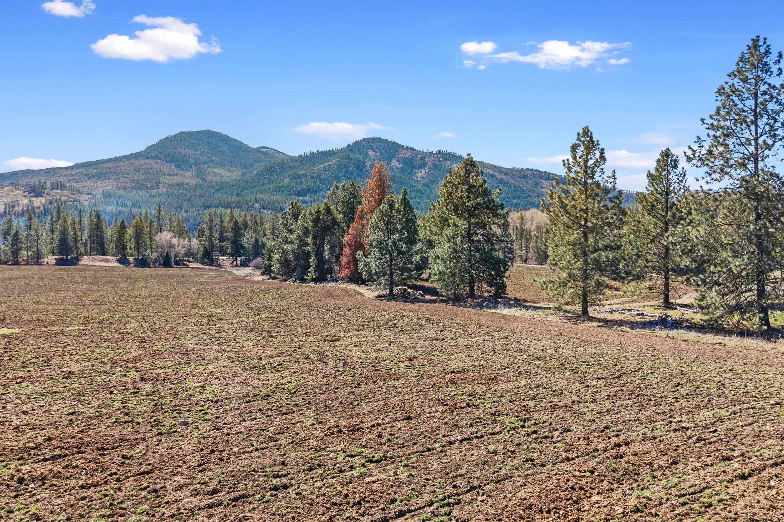 2068 Addy-Gifford Road Addy, WA 99101 - Photo 36 of 50