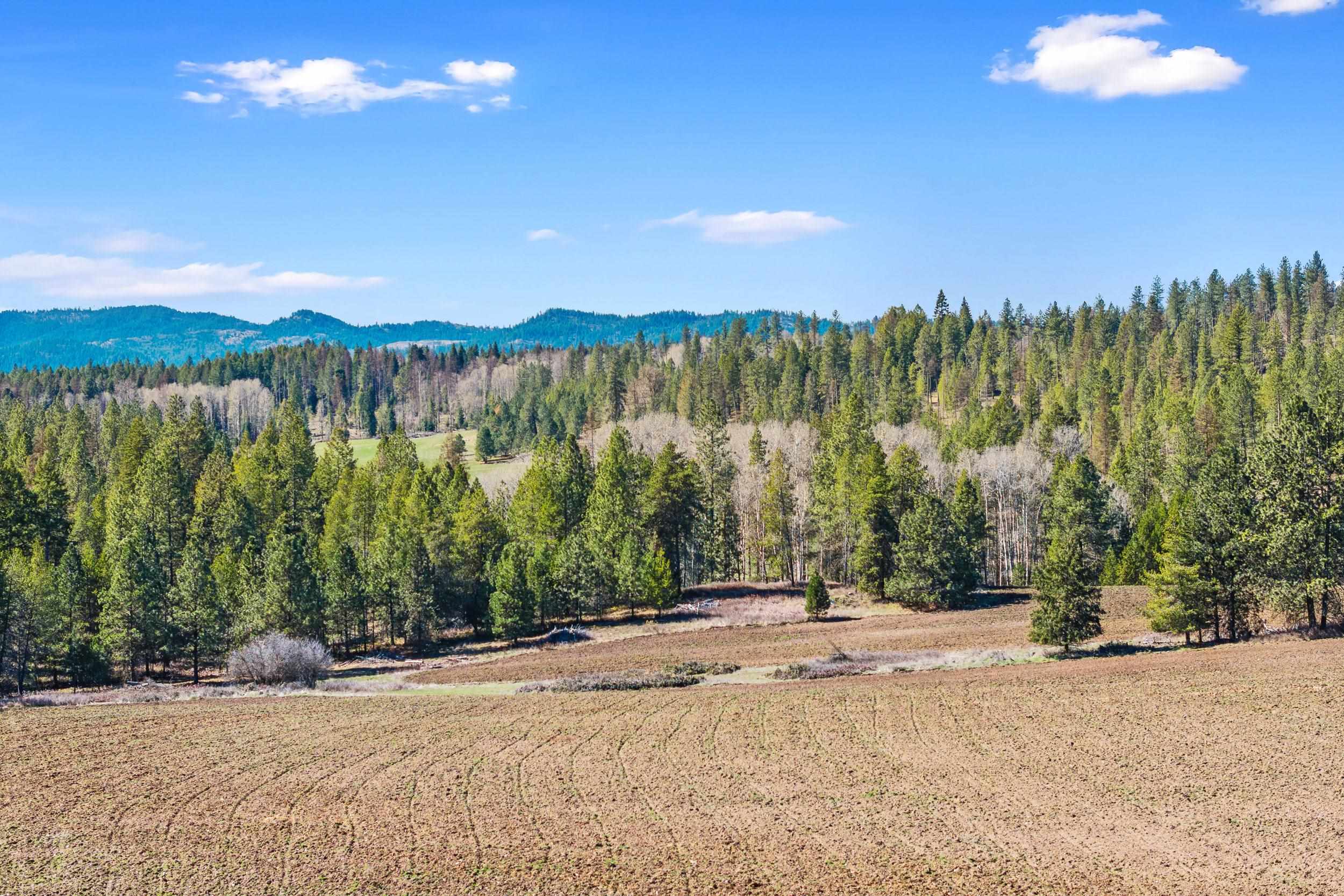 2068 Addy-Gifford Road Addy, WA 99101 - Photo 37 of 50