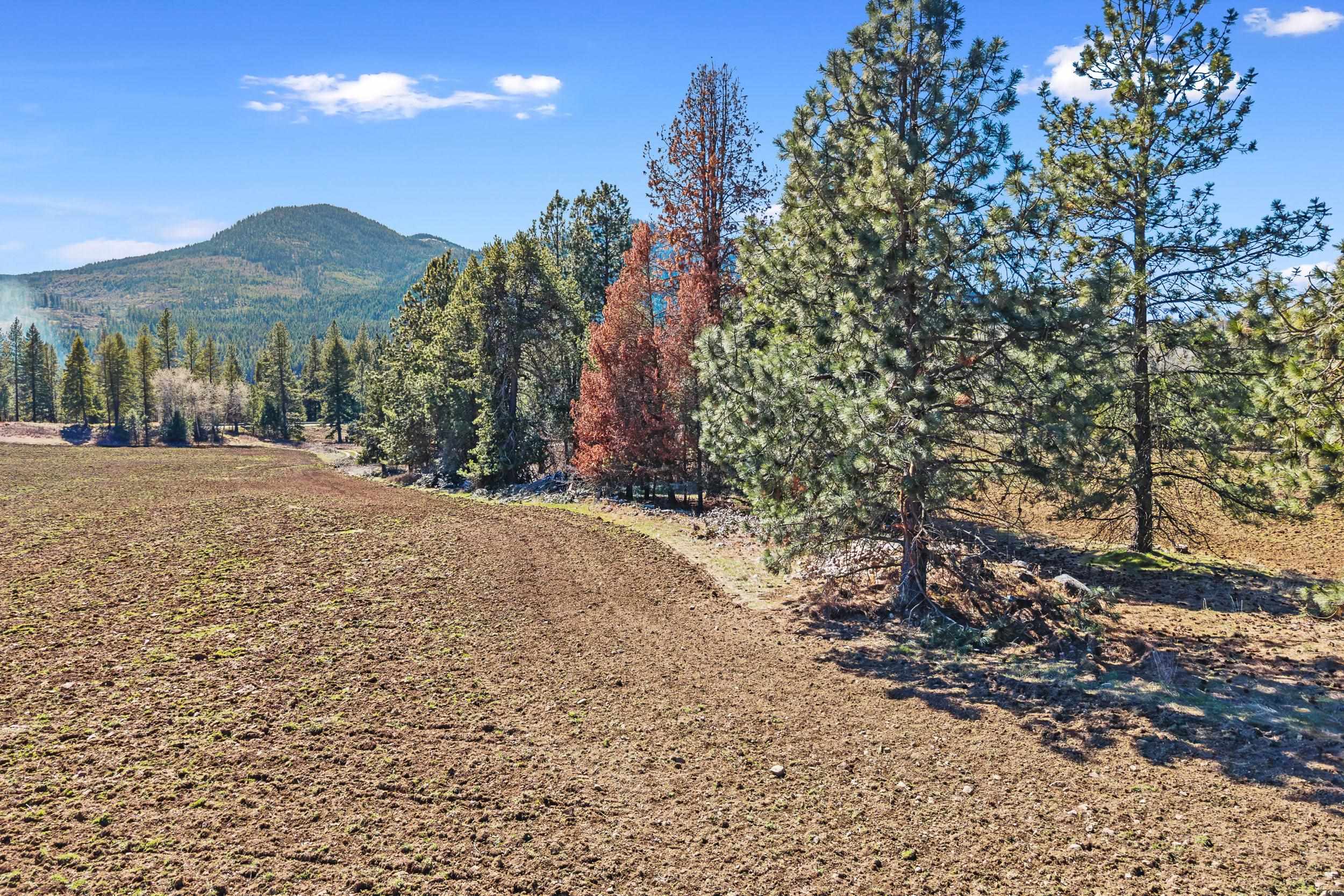 2068 Addy-Gifford Road Addy, WA 99101 - Photo 39 of 50