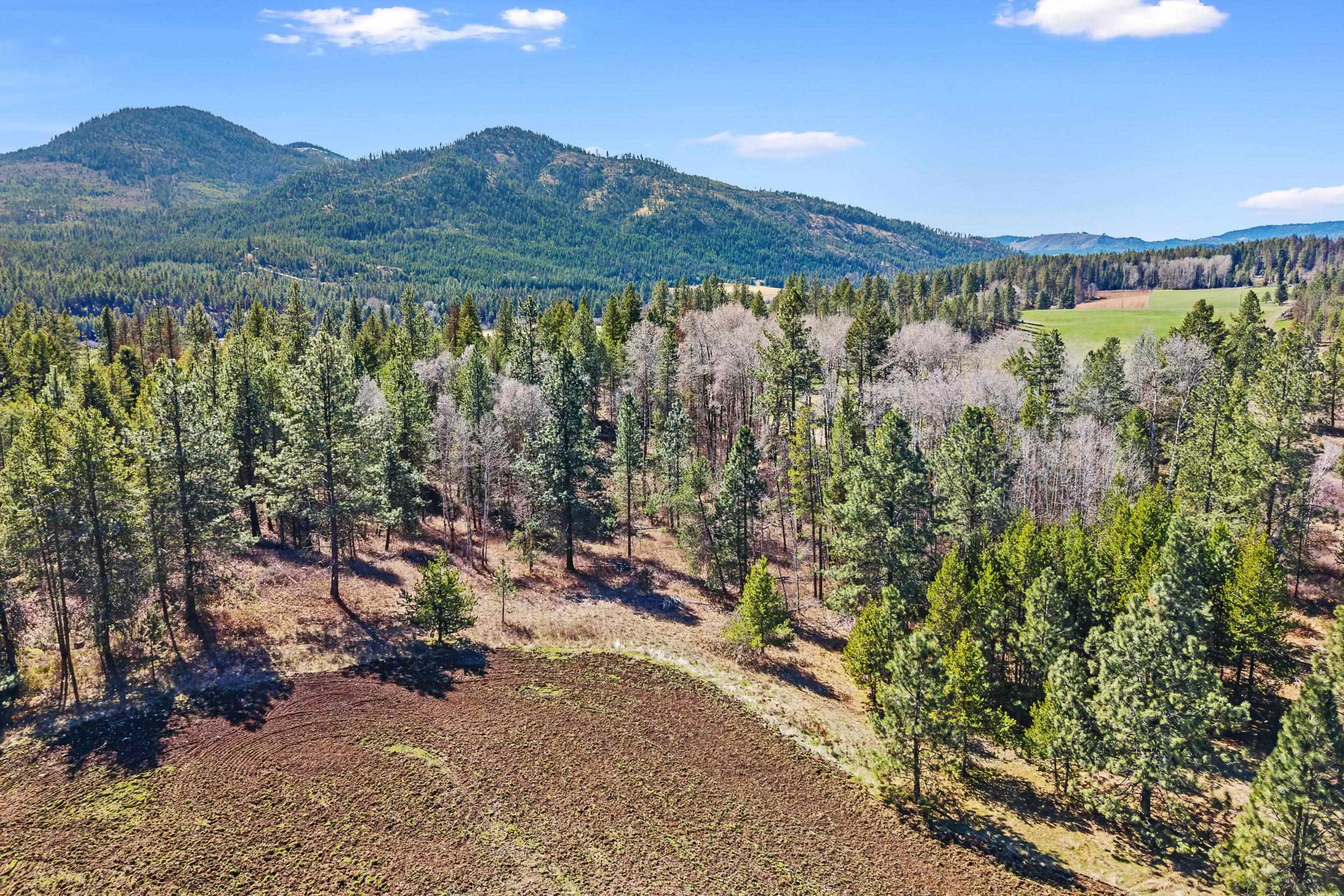 2068 Addy-Gifford Road Addy, WA 99101 - Photo 40 of 50