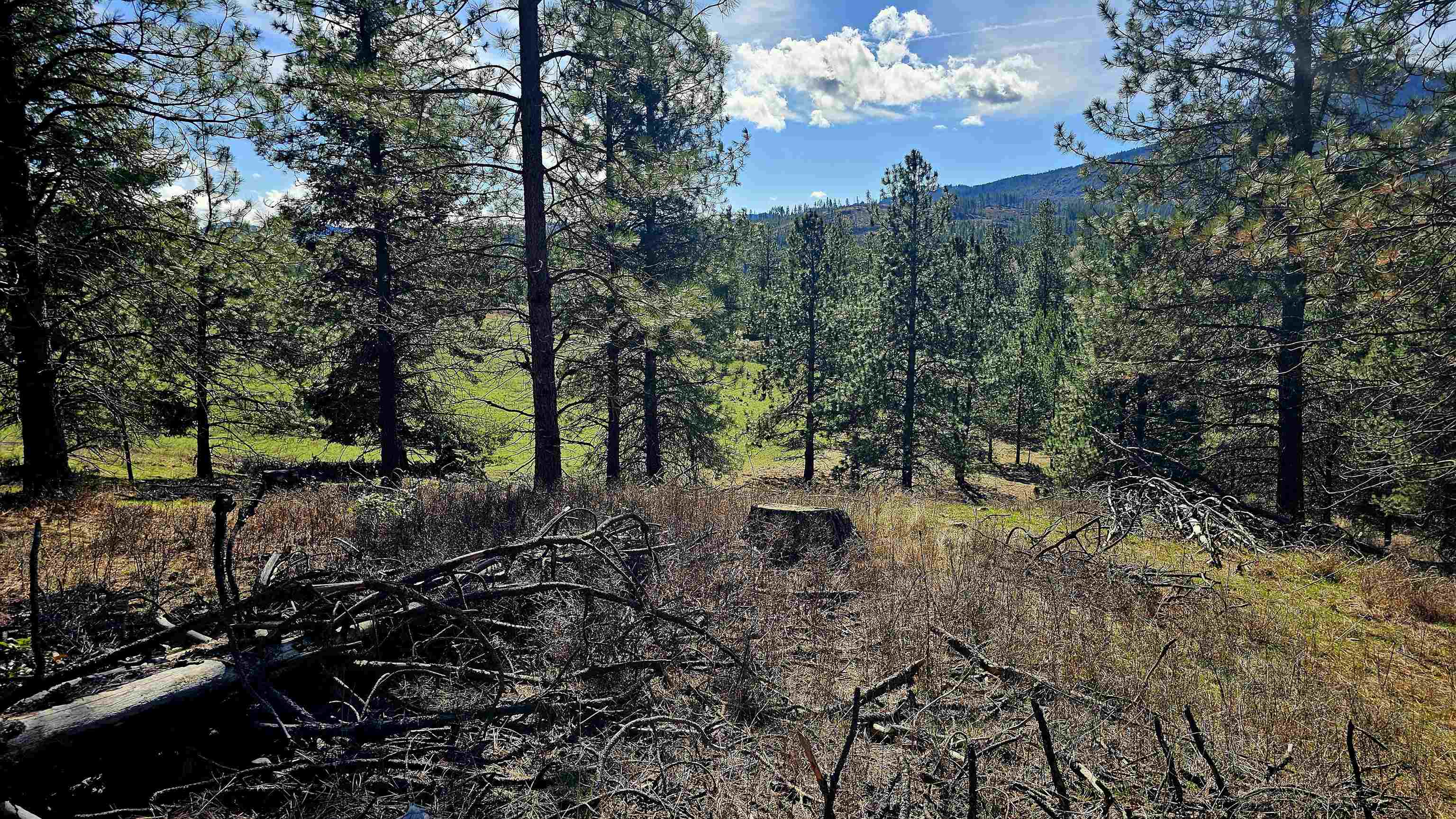 2068 Addy-Gifford Road Addy, WA 99101 - Photo 4 of 50