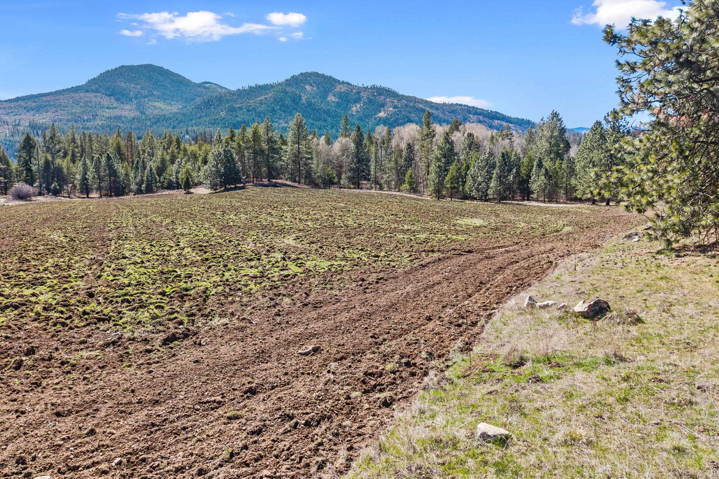 2068 Addy-Gifford Road Addy, WA 99101 - Photo 41 of 50