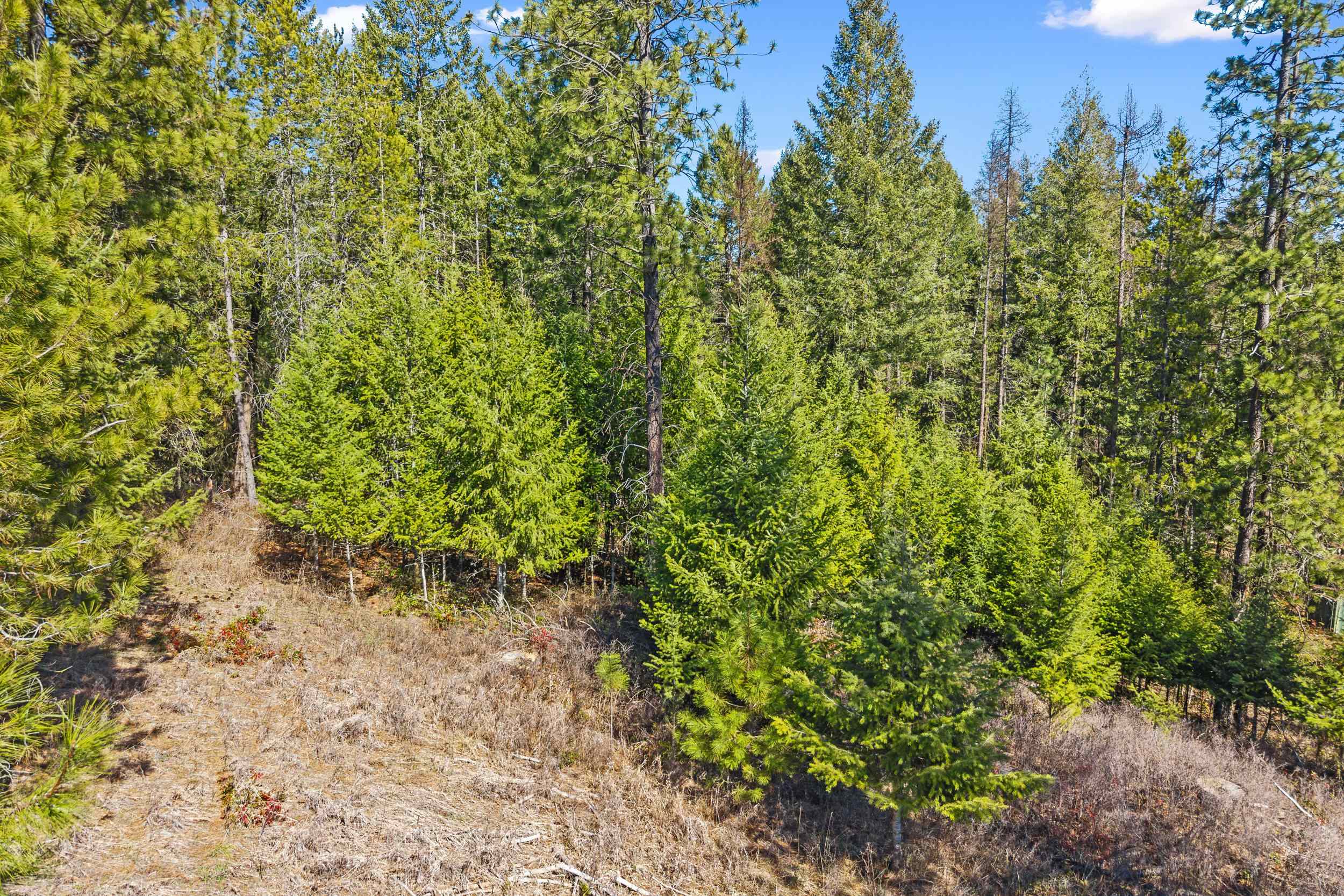 2068 Addy-Gifford Road Addy, WA 99101 - Photo 42 of 50