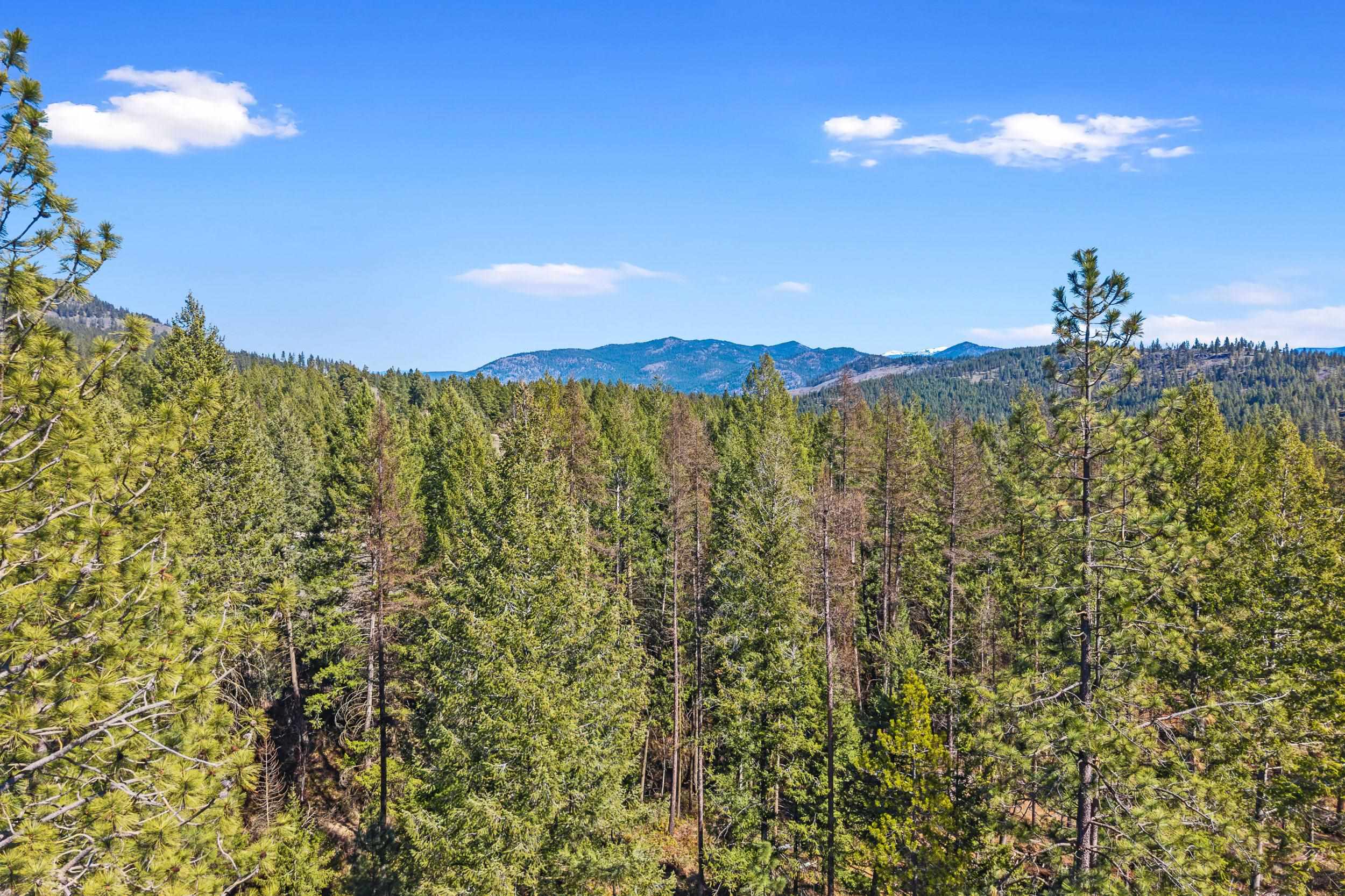 2068 Addy-Gifford Road Addy, WA 99101 - Photo 45 of 50