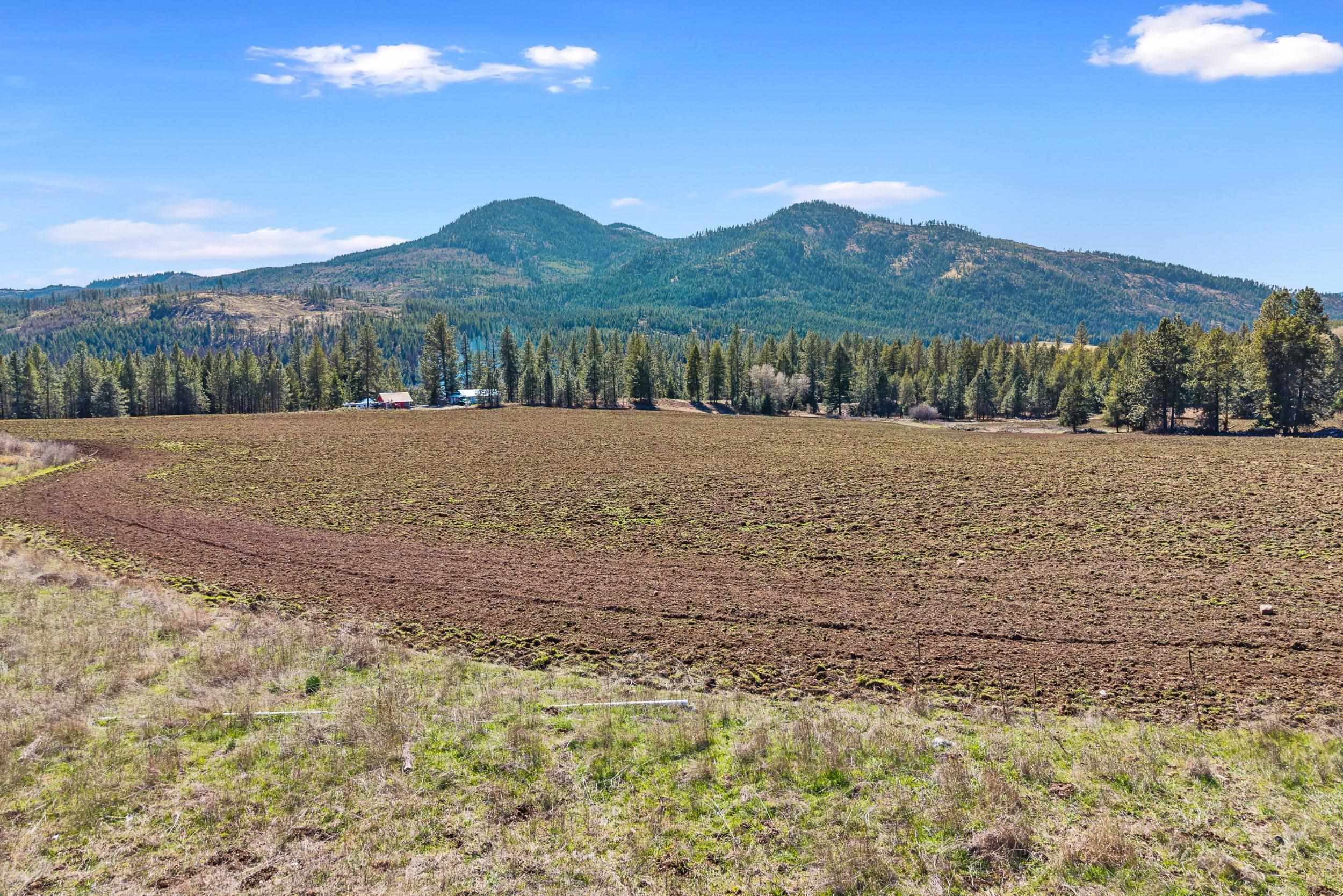 2068 Addy-Gifford Road Addy, WA 99101 - Photo 47 of 50