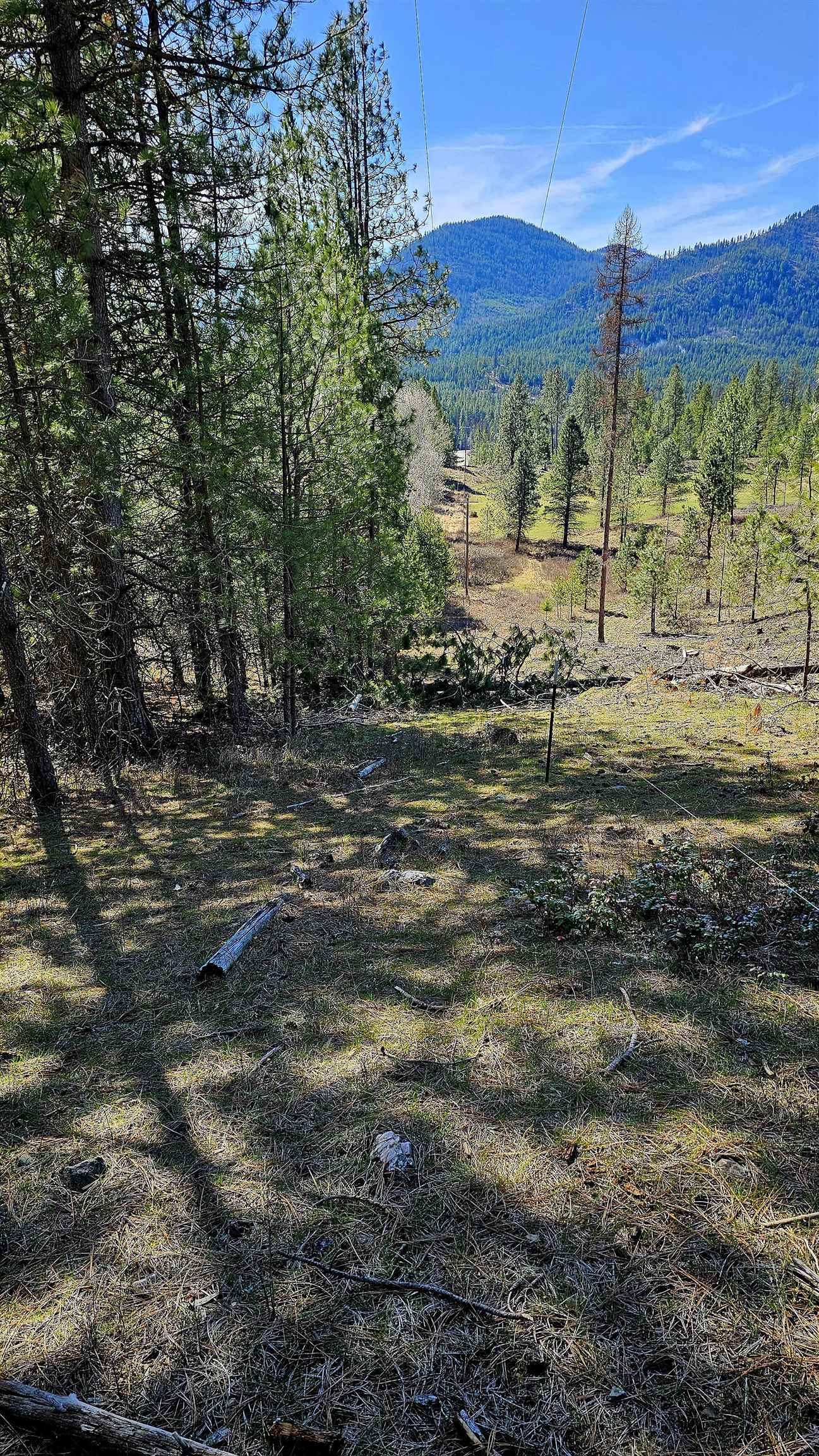 2068 Addy-Gifford Road Addy, WA 99101 - Photo 5 of 50