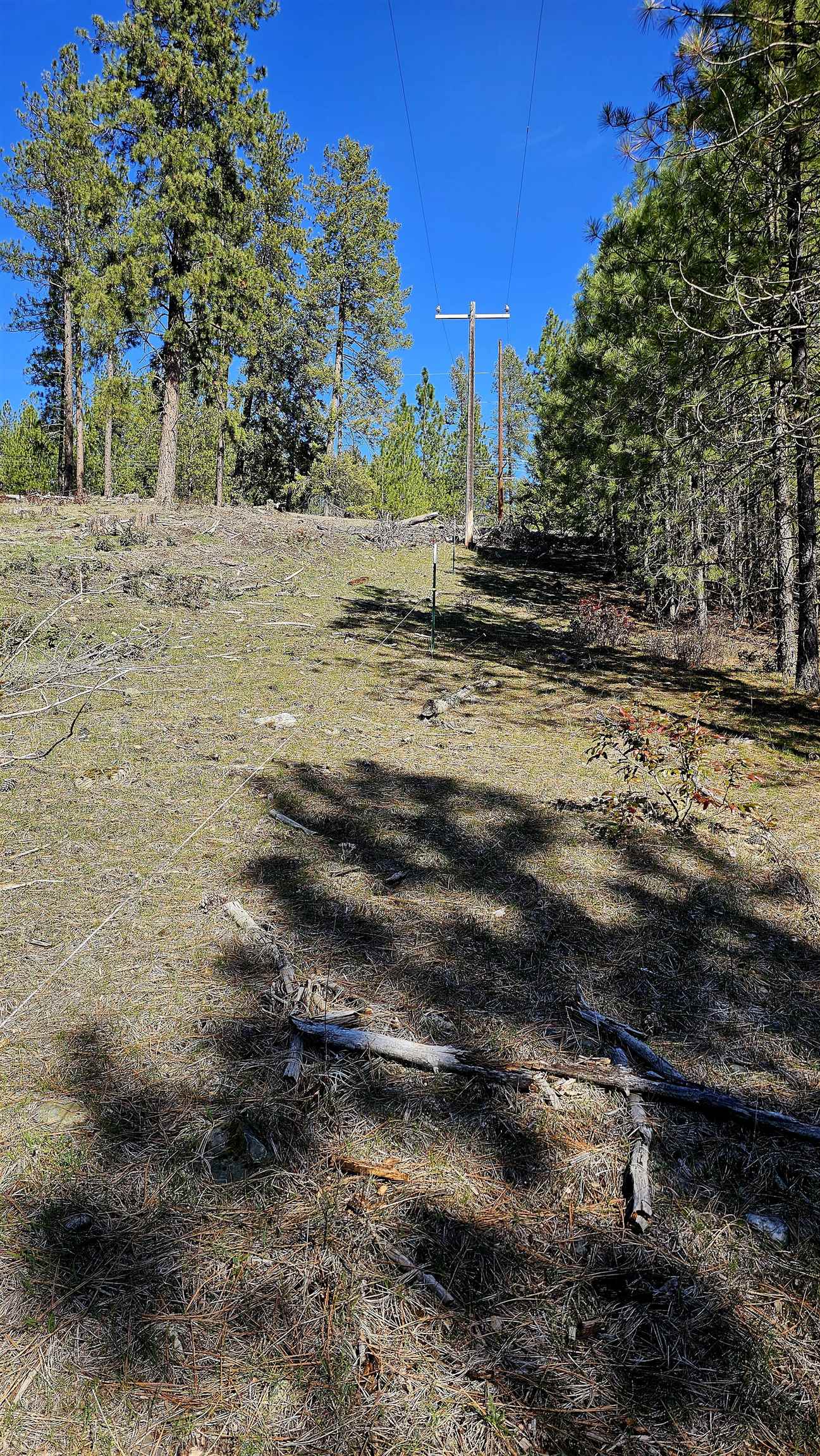 2068 Addy-Gifford Road Addy, WA 99101 - Photo 6 of 50