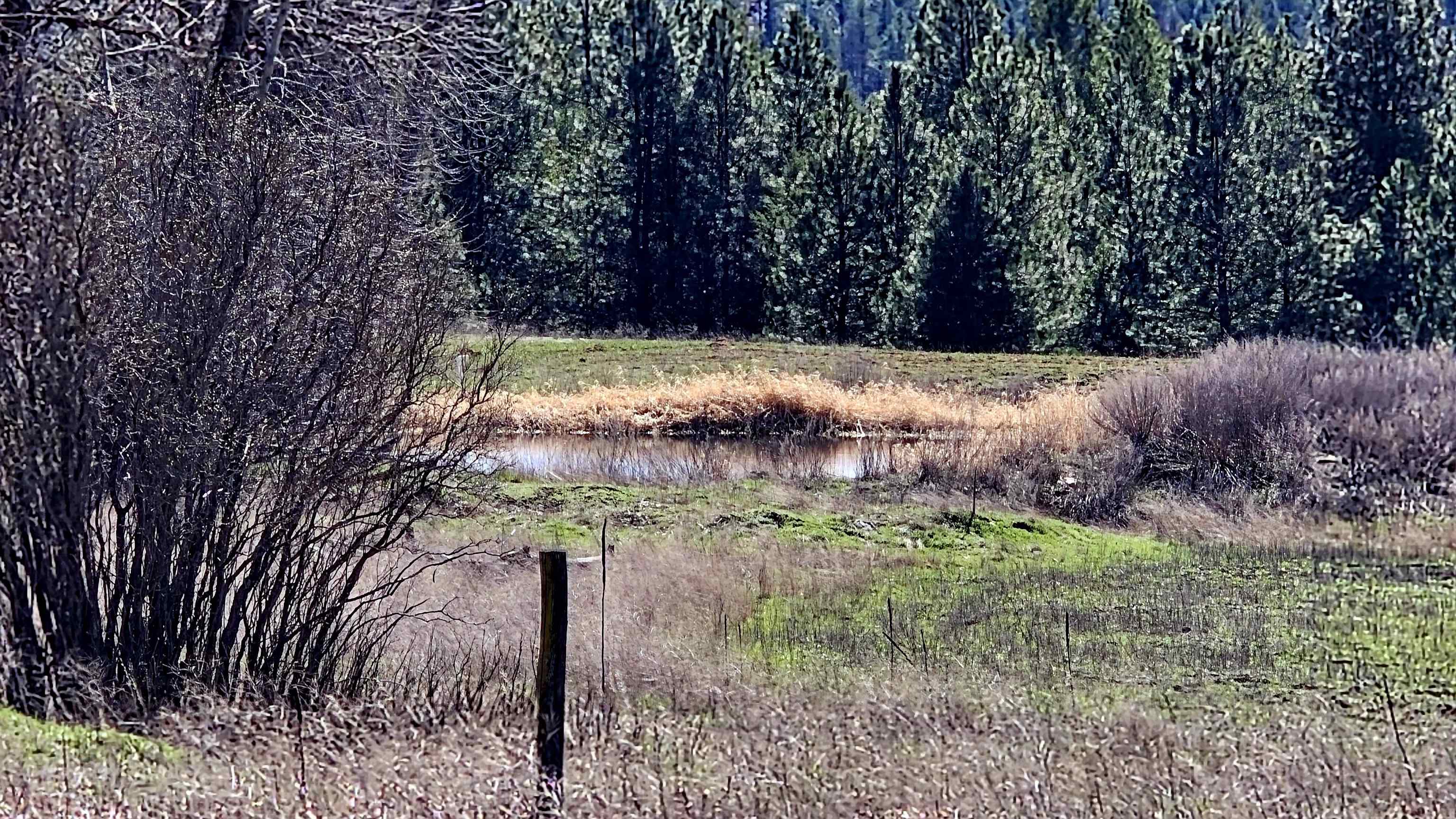 2068 Addy-Gifford Road Addy, WA 99101 - Photo 7 of 50