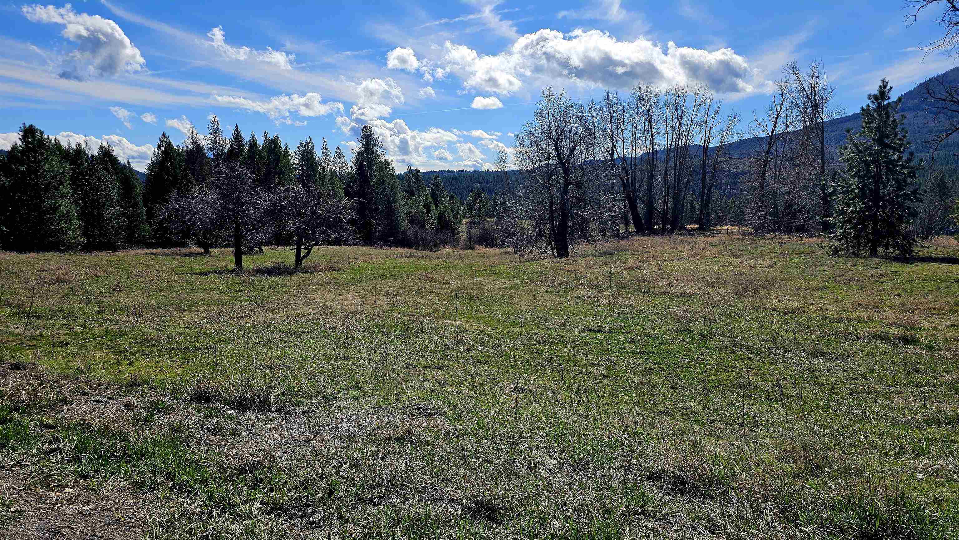 2068 Addy-Gifford Road Addy, WA 99101 - Photo 8 of 50