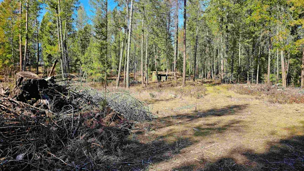 $380,000 | 2068 Addy-Gifford Road, Addy, WA 99101