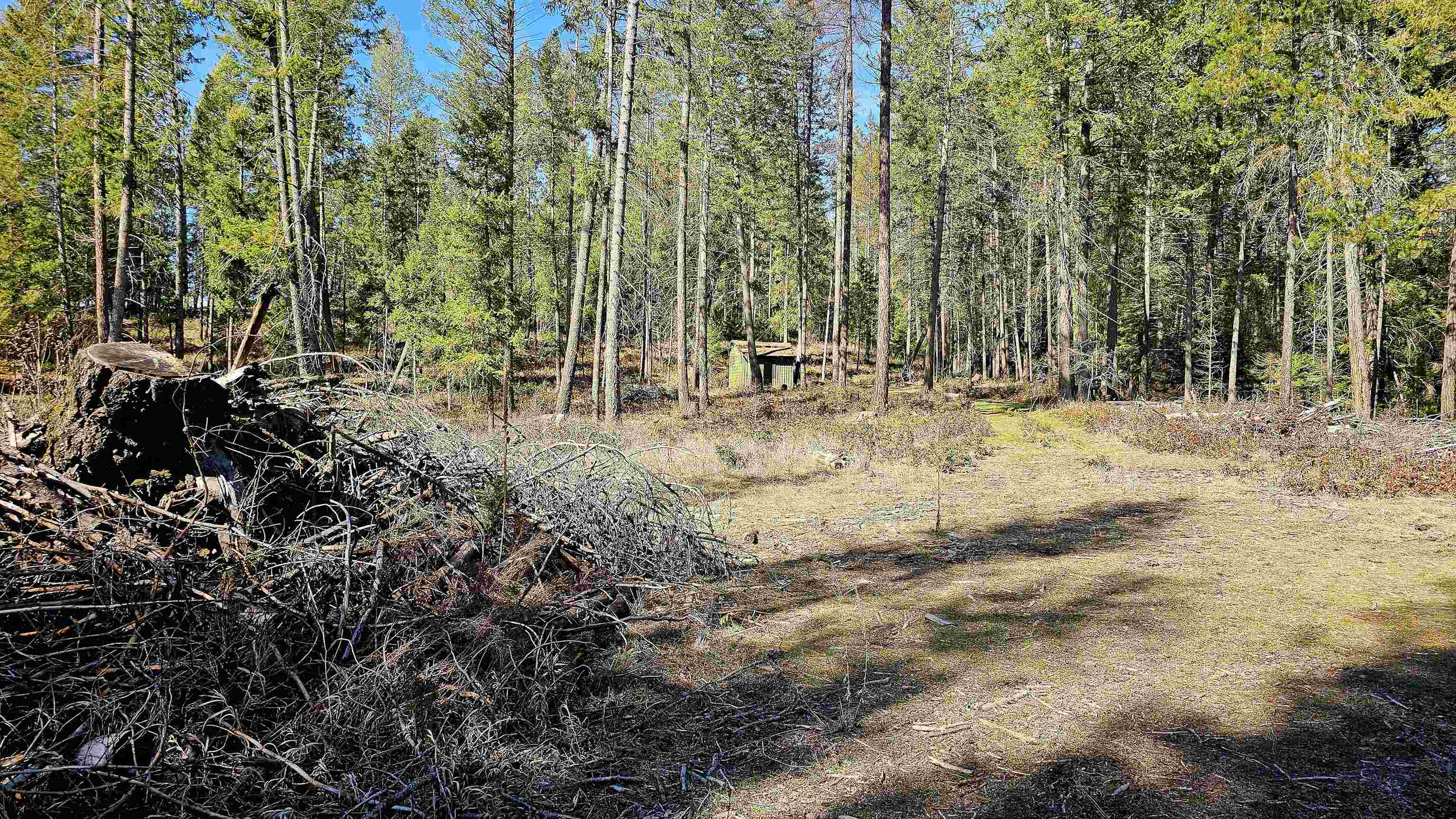 2068 Addy-Gifford Road Addy, WA 99101 - Photo 10 of 50