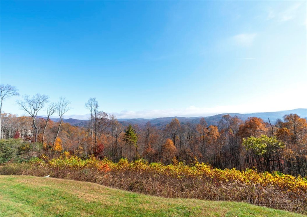 171 Falcon Trace, Unit C411 Boone, NC 28607 - Photo 18 of 45
