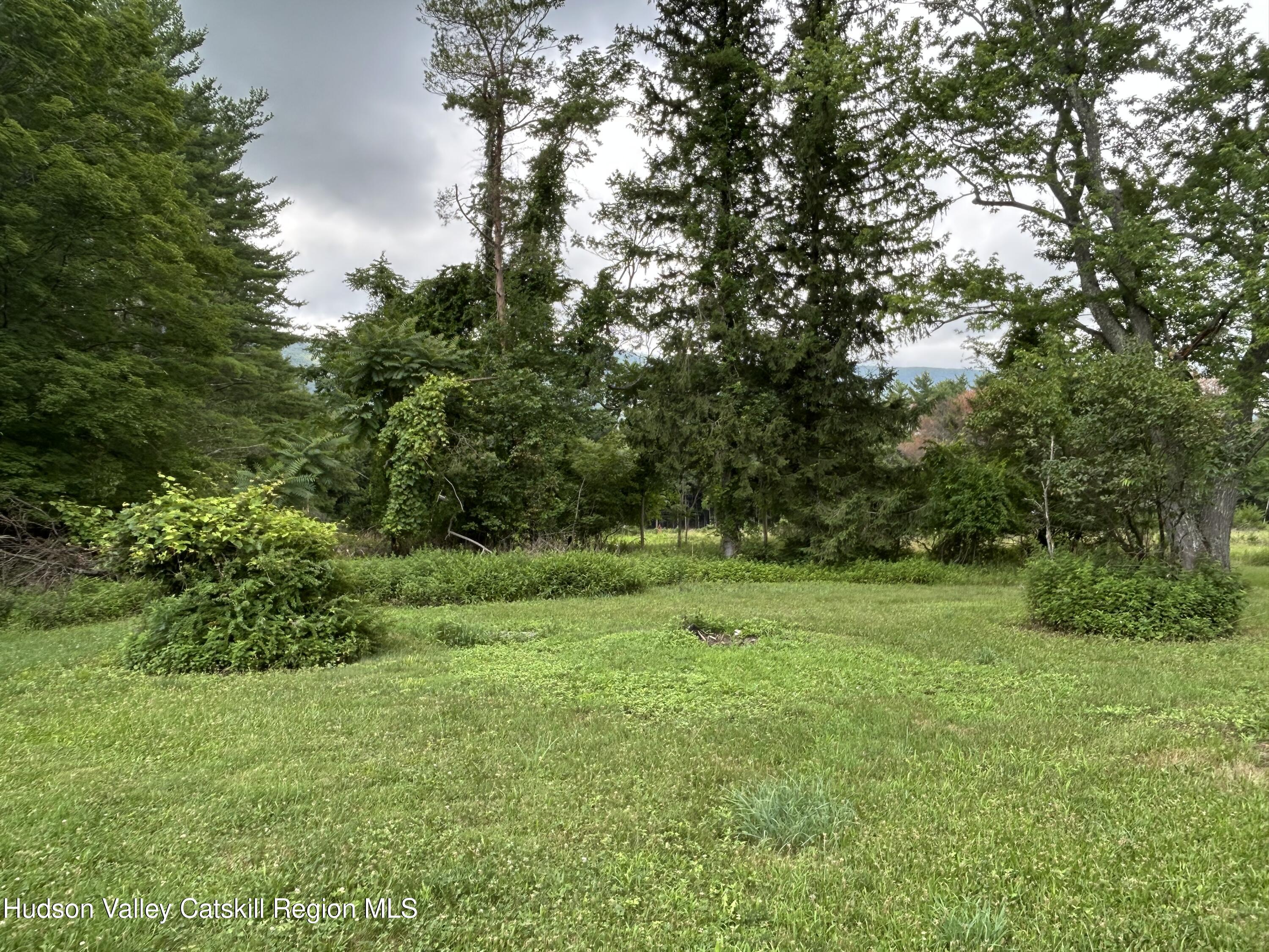 969 Blue Mountain Road Saugerties, NY 12477 - Photo 22 of 23 Backyard