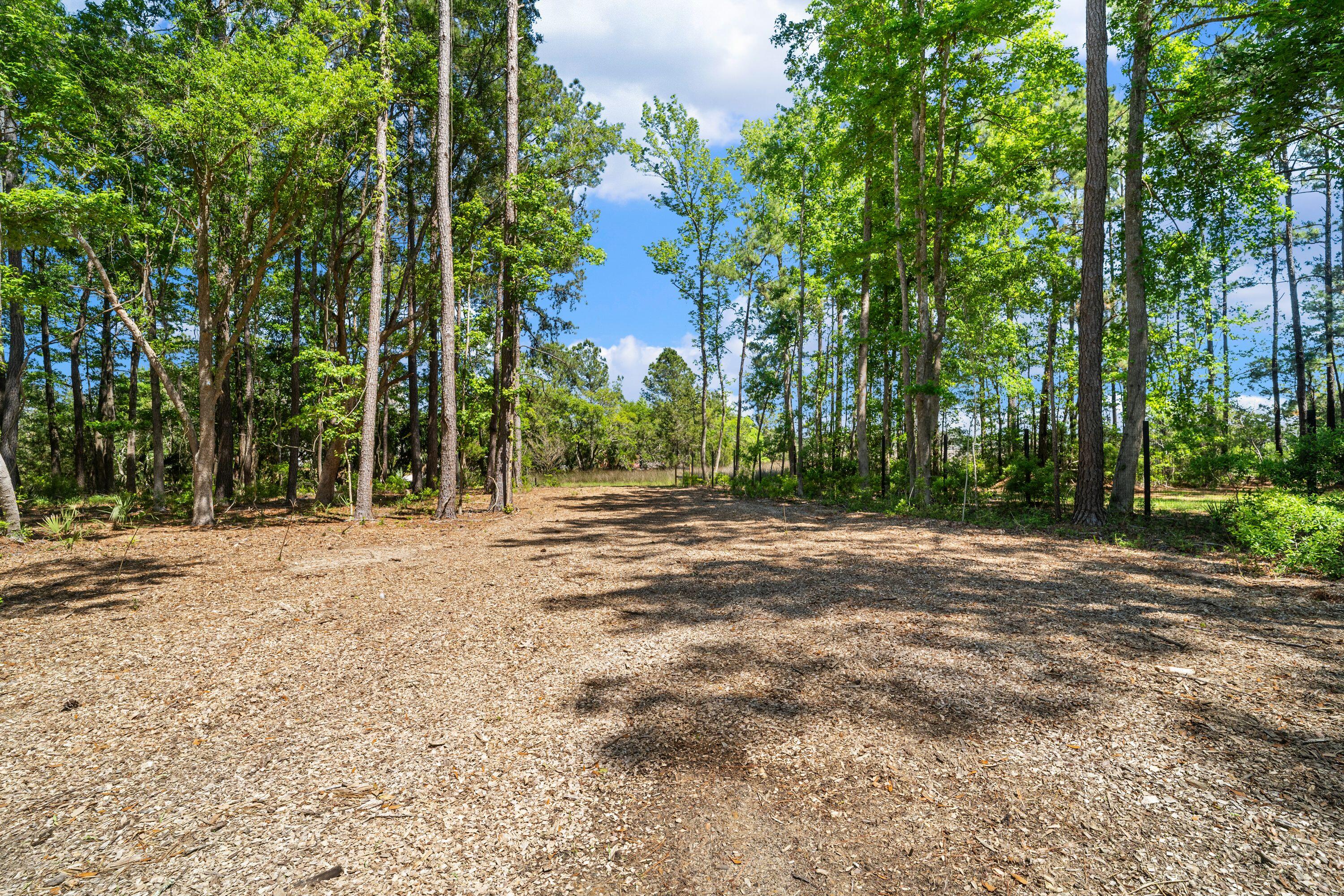 4663 Causey Pond Road Awendaw, SC 29429 - Photo 62 of 70 IMG_3345