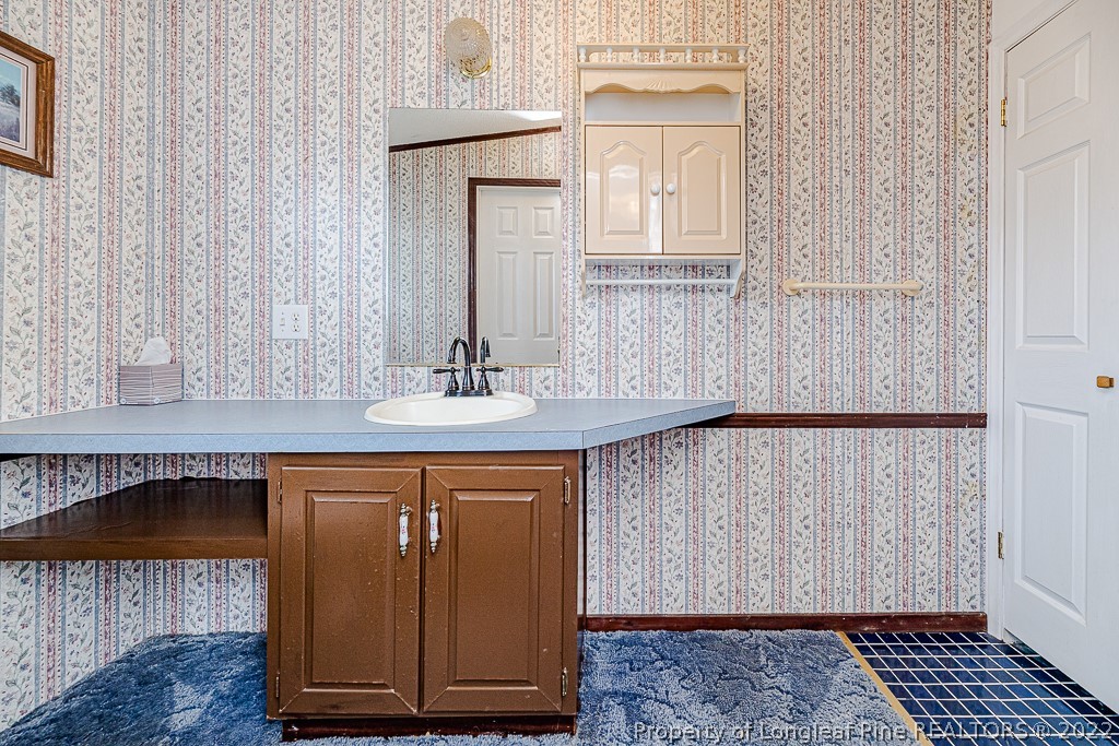 256 Union Church Road Carthage, NC 28327 - Photo 17 of 29 a bathroom with a sink and a mirror