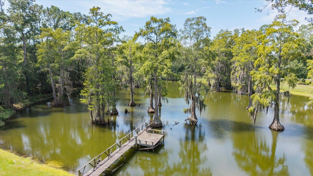 1540 Dunn Road Quitman, GA 31643 - Photo 2 of 51 Gallery Image 2