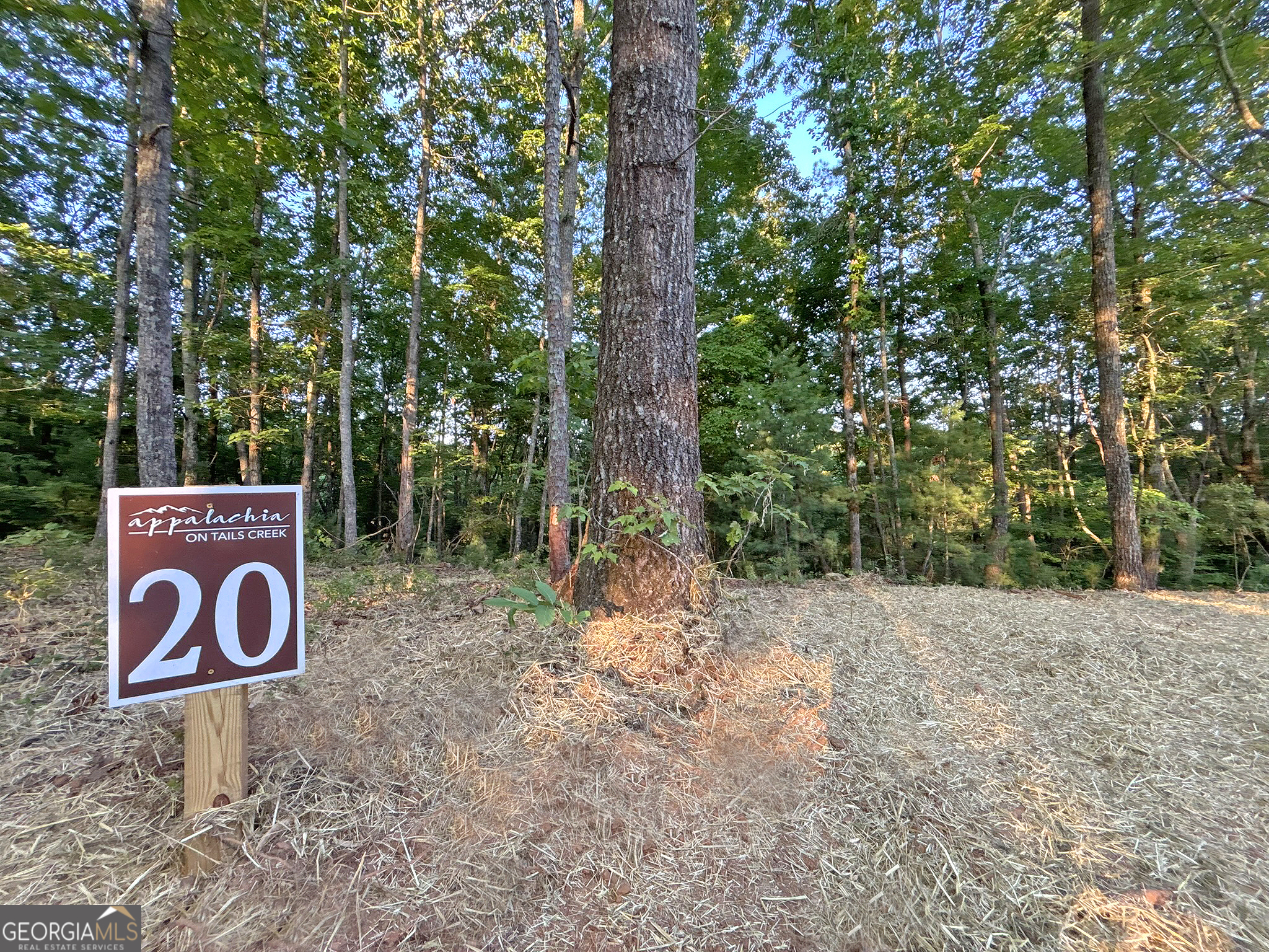 Lot 20 Mt Springer Road Ellijay, GA 30540 - Photo 2 of 32